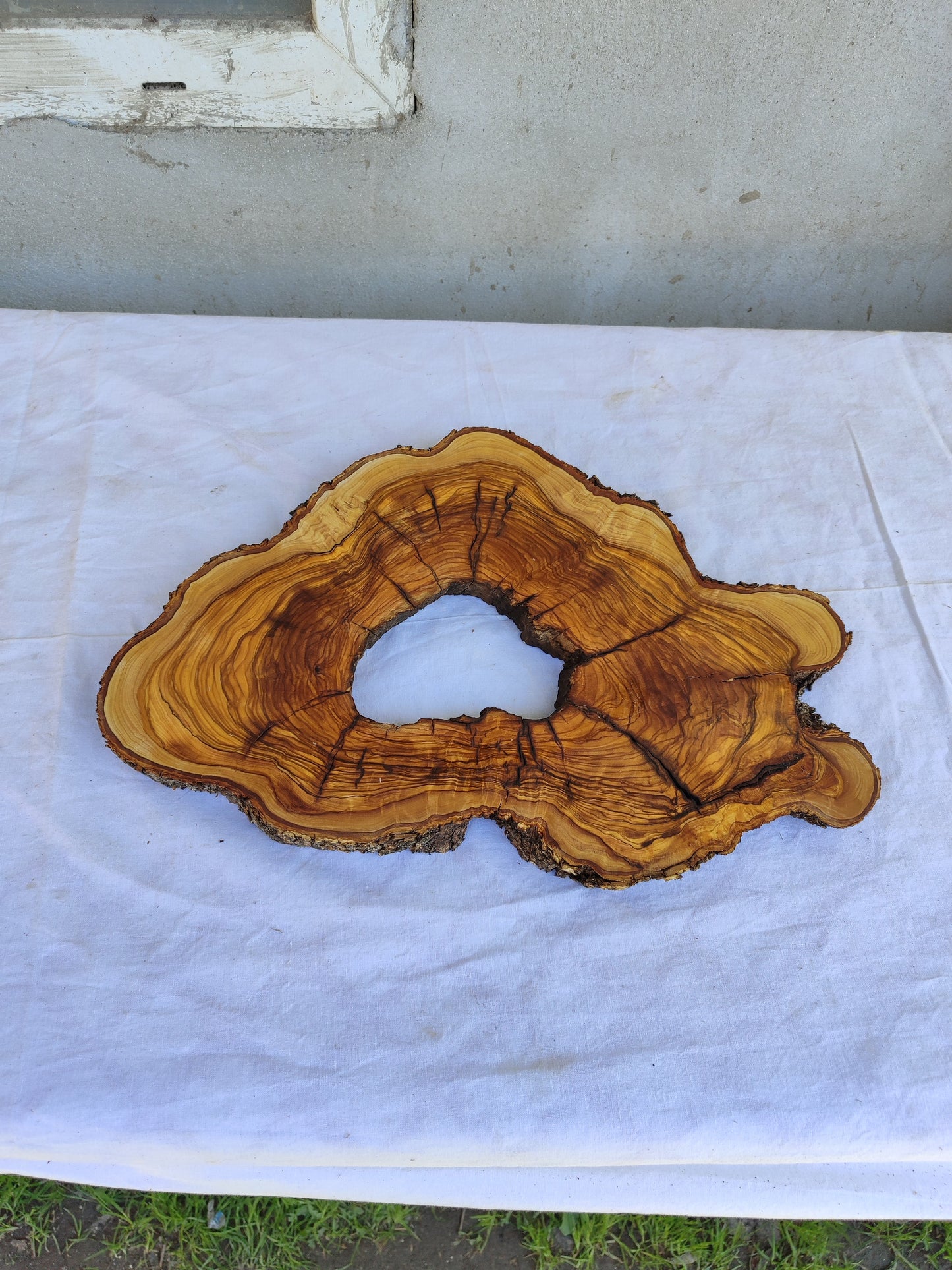 Rare Olive Wood Live Edge Slab 25x39cm - Unique Grain Epoxy Resin Wood for Clock & Guitar Body - Sustainable Luxury &