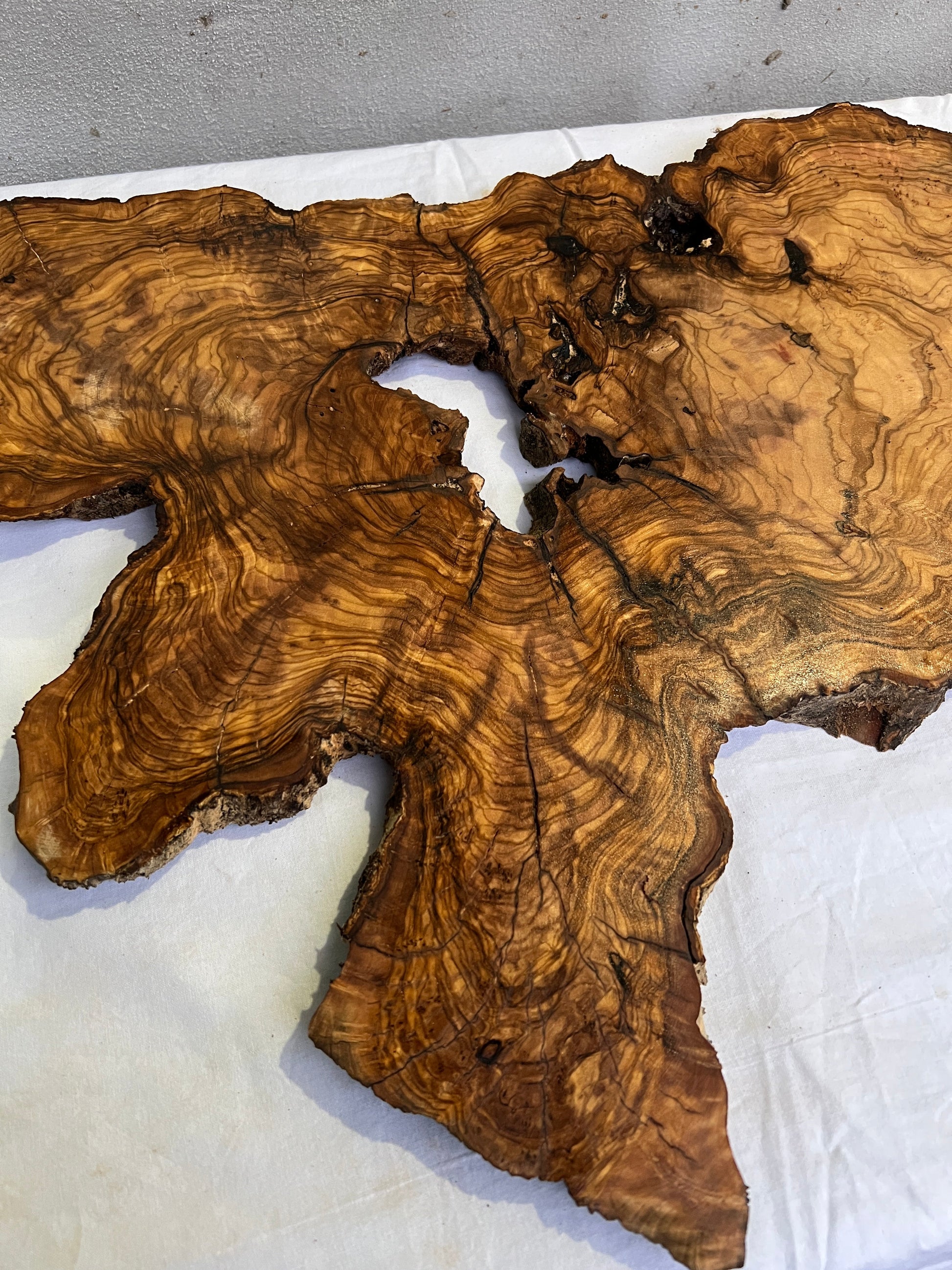 Rare Olive Wood Slab 43x66cm | Live Edge for Epoxy Resin & Coffee Table | Premium Dry Luthier Wood | Unique Grain Sustainable Luxury Art.