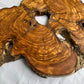 Rare Olive Wood Slab 53x30cm Live Edge for Epoxy Resin Art, Luxury Coffee Table & Clock Making | Super Dry 3% Moisture Unique Grain DIY.