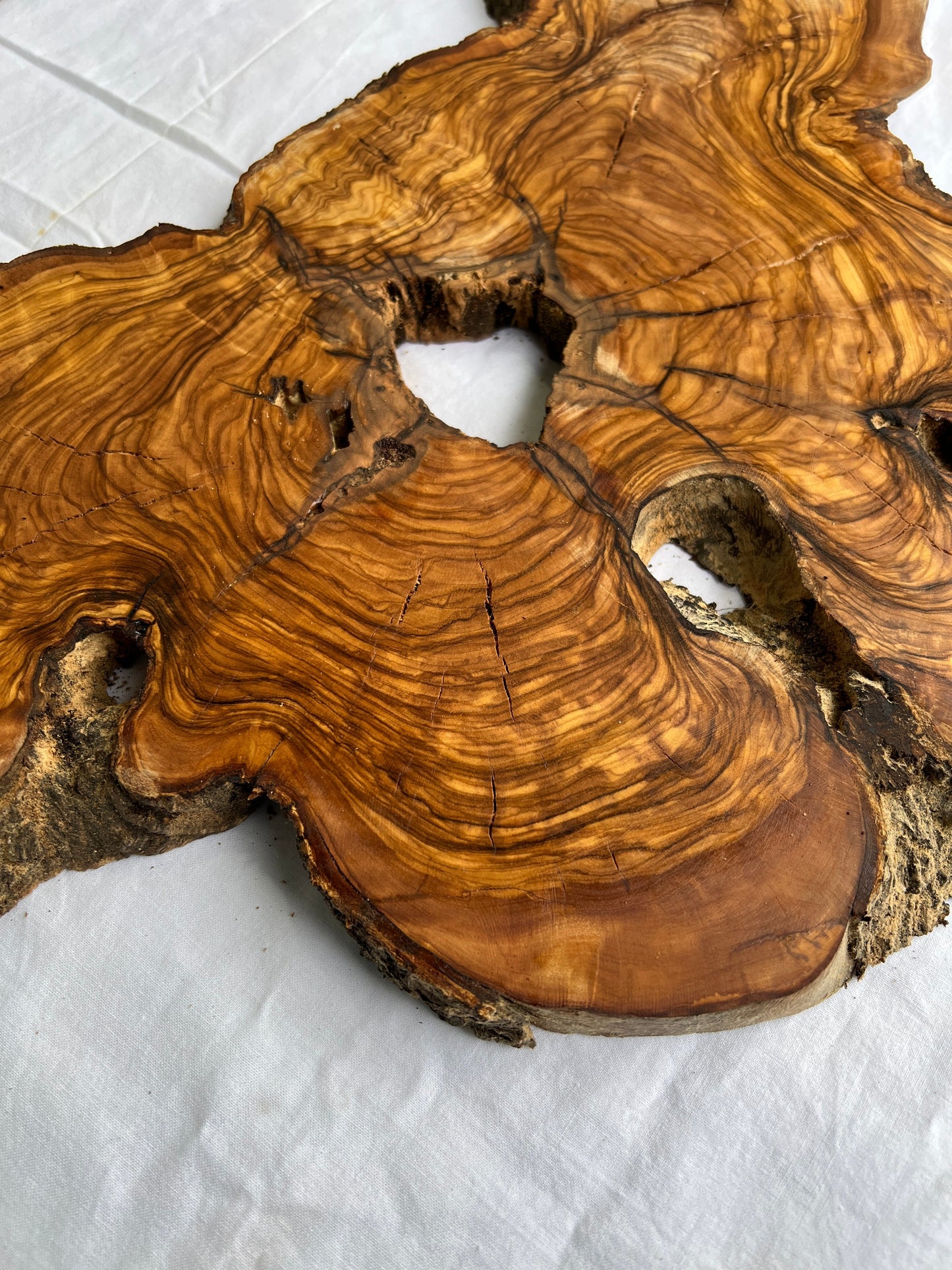 Rare Olive Wood Slab 53x30cm Live Edge for Epoxy Resin Art, Luxury Coffee Table & Clock Making | Super Dry 3% Moisture Unique Grain DIY.