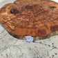 Rare Olive Wood Slab – Live Edge, Unique Grain, Sustainable Luxury – Premium Natural Luster for Epoxy & Artisan Crafts (31x37x2.5 cm)