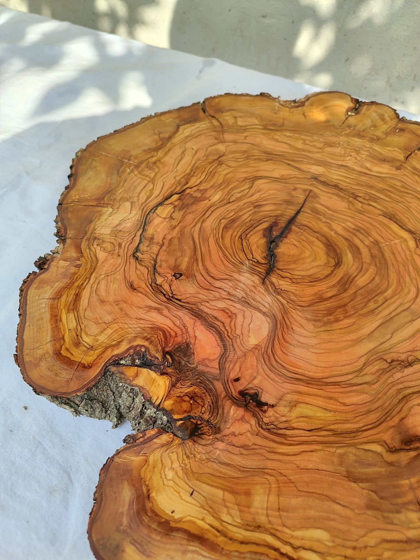 Rare Olive Wood Live Edge Slab – Unique Grain Sustainable Luxury for Epoxy Table & Craft - Olive Generic