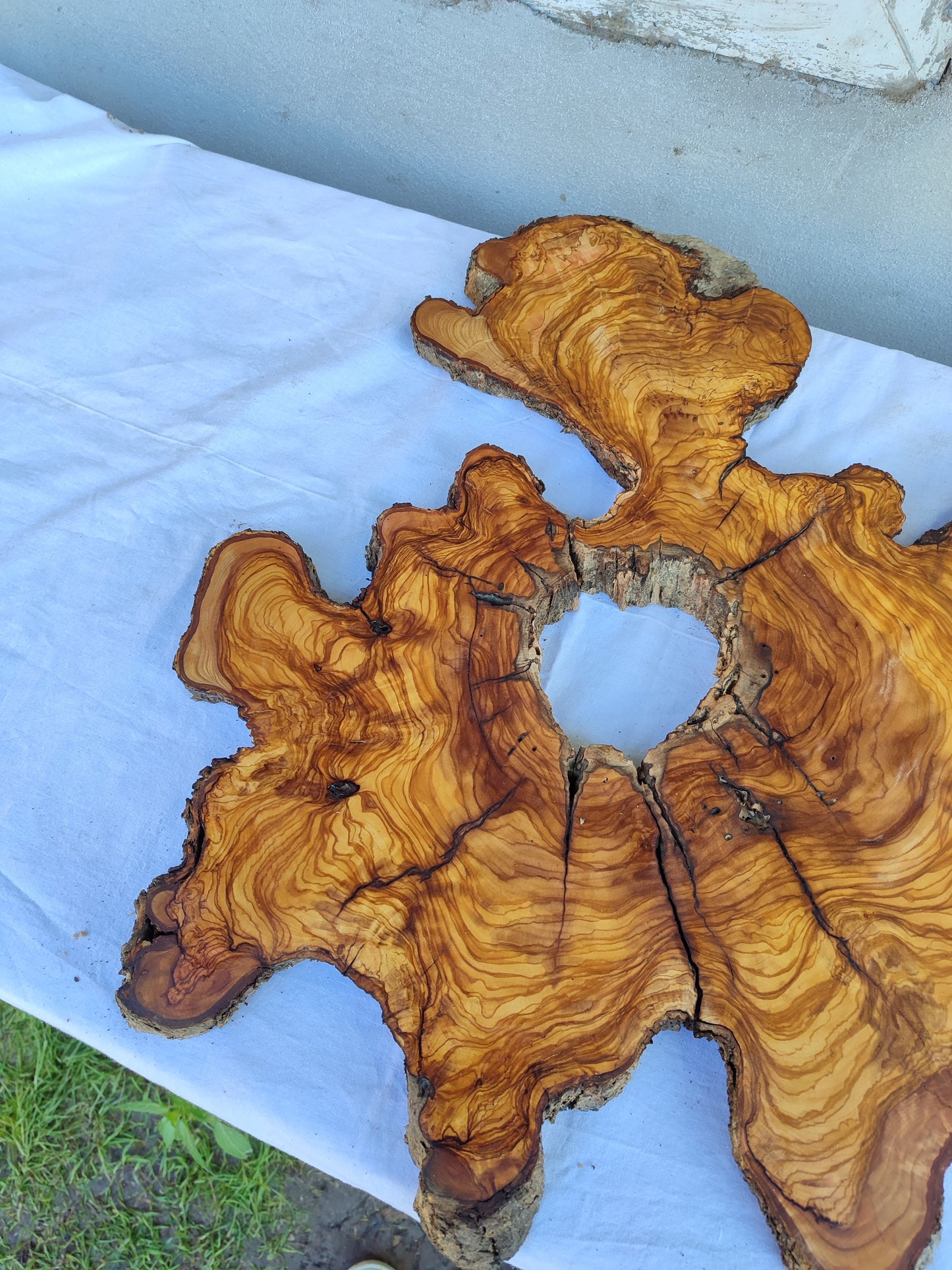 Rare Olive Wood Slab Set 2pcs 53x53cm - Super Dry 3% Moisture - Live Edge for Epoxy Resin, Guitar Body & Luxury Decor - Unique Grain.