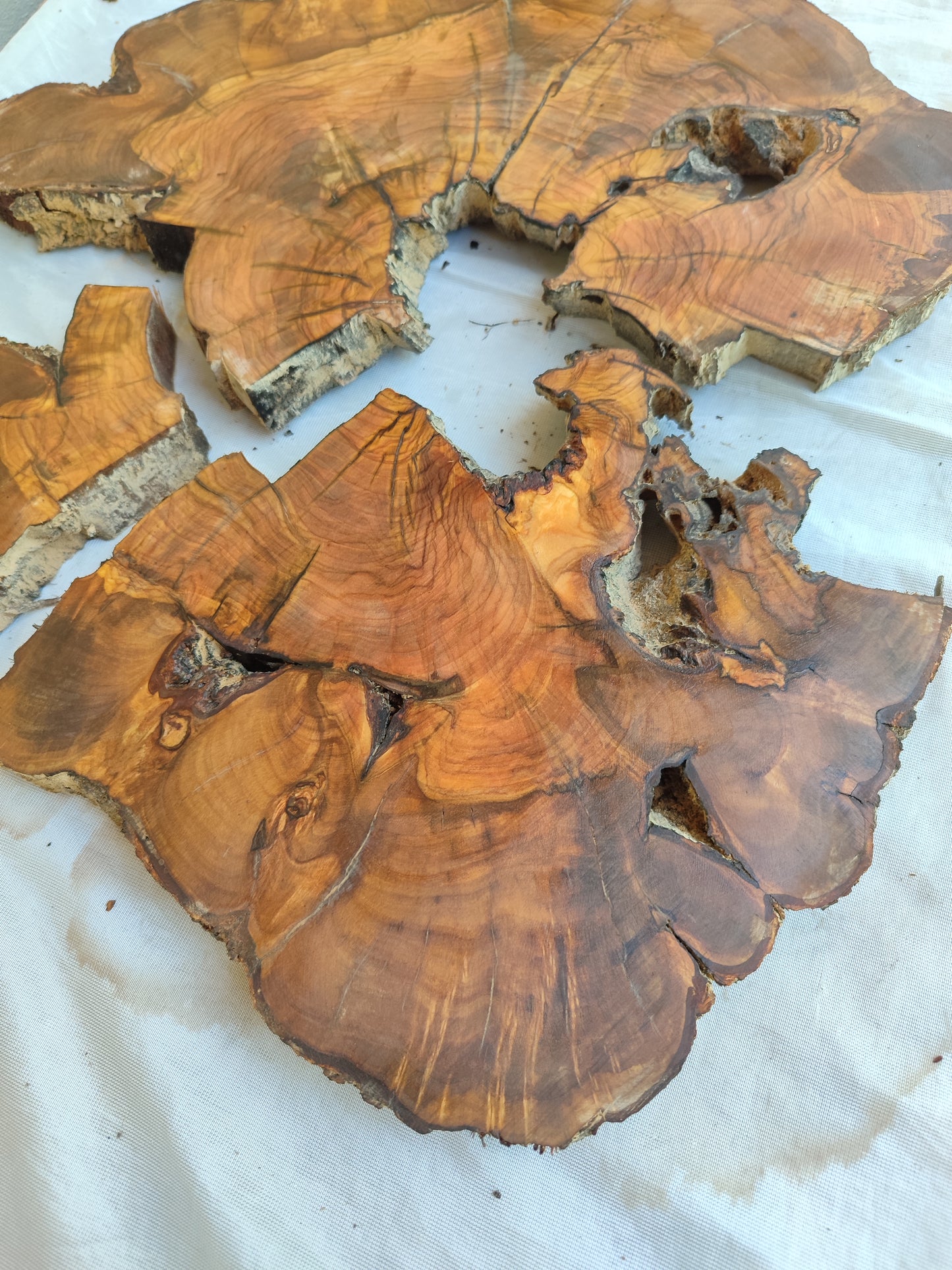 Rare Olive Wood Slab – Live Edge, Unique Grain, Sustainable Luxury | 40x44x2.5 cm