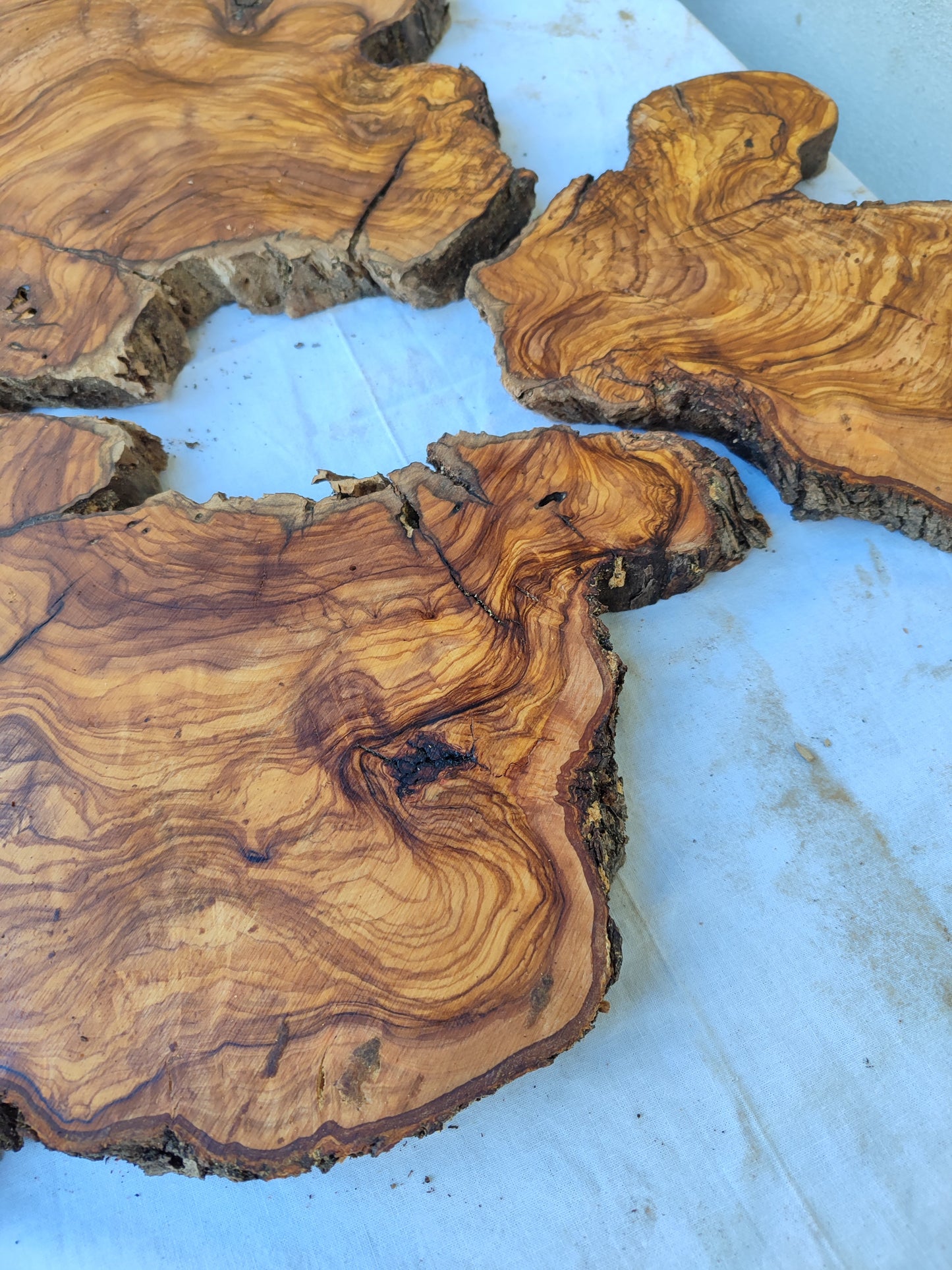 Rare Olive Wood Slab 51x53cm | Premium Live Edge for Epoxy Resin, Clock, Guitar Body | Ultra Dry Sustainable Luxury DIY Lumber.