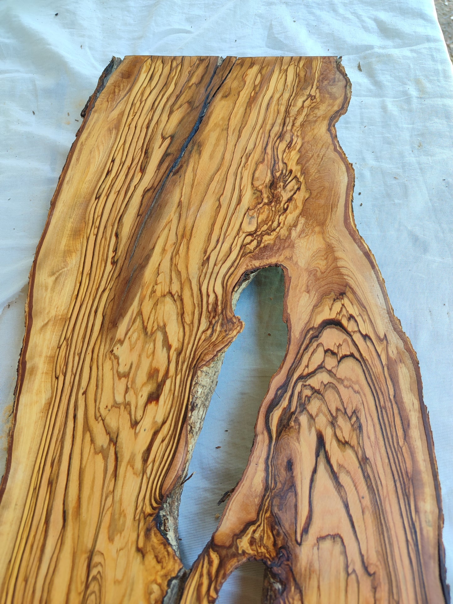 Rare Live Edge Olive Wood Slab – Unique Grain, Sustainable Luxury for Epoxy, Table & Crafts