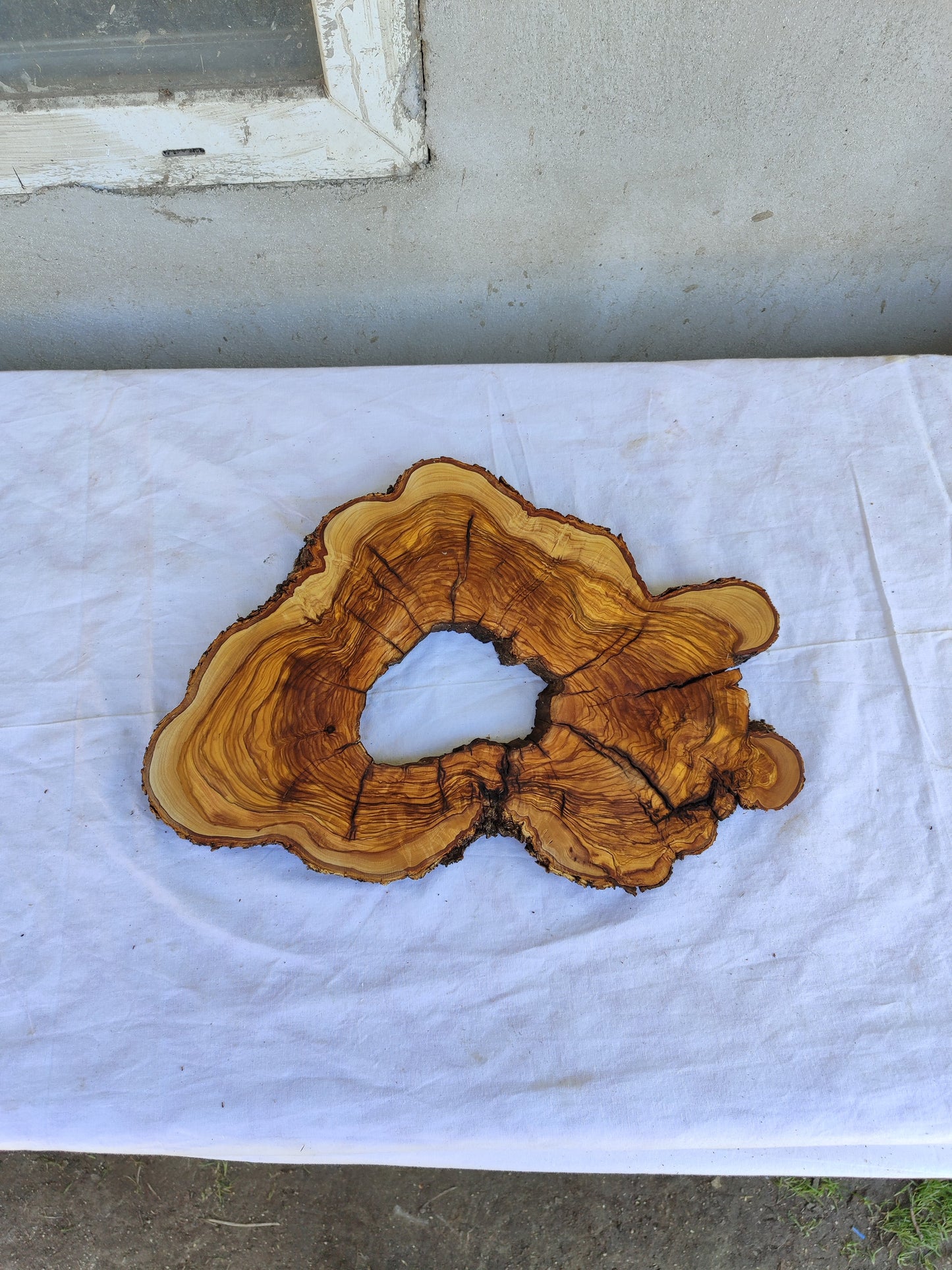 Rare Olive Wood Slab 27x40cm • Live Edge for Epoxy Resin • Dried Luthier Timber • Unique Grain Luxury DIY Material