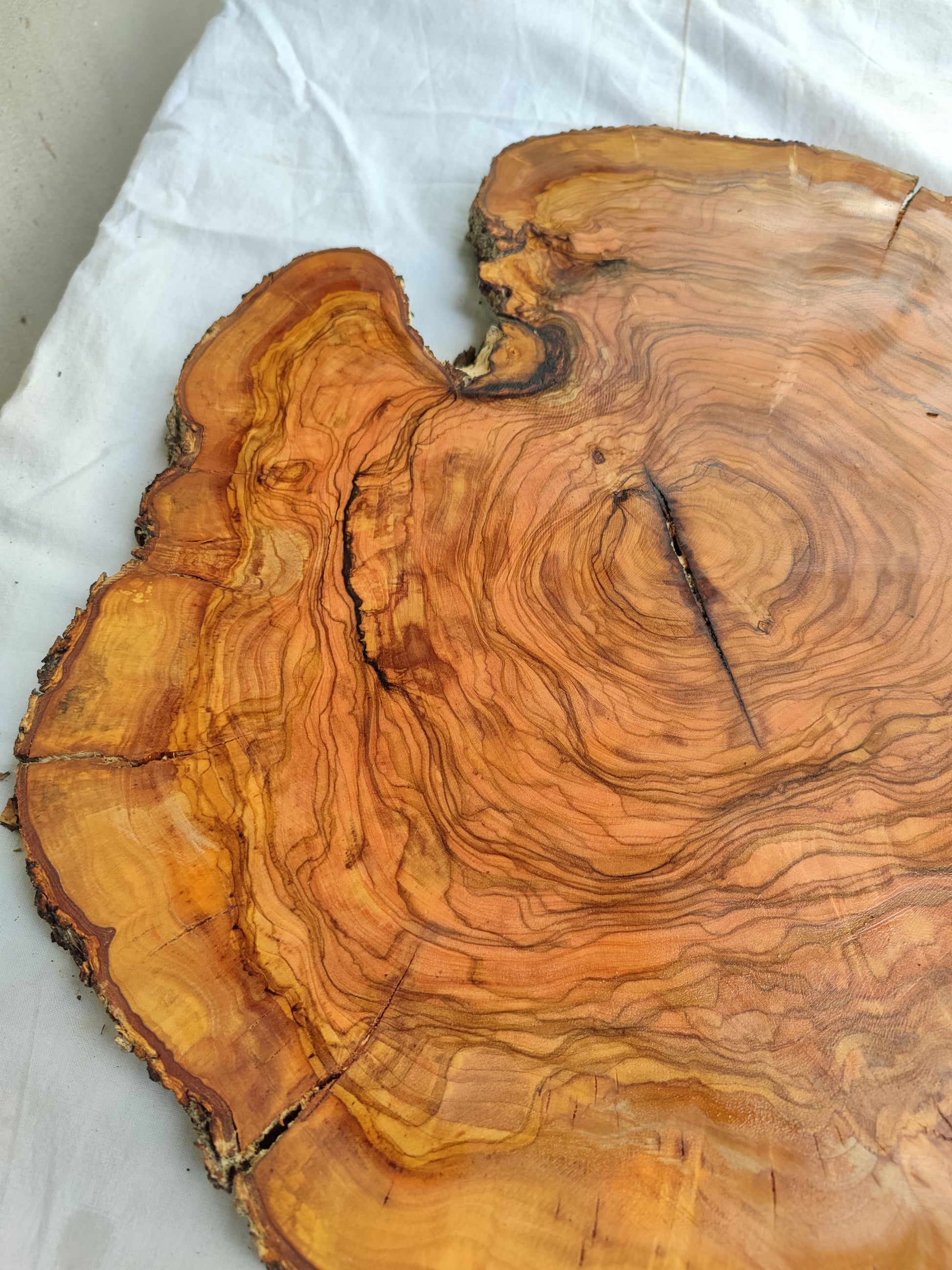 Rare Olive Wood Slab – Live Edge Unique Grain Sustainable Luxury – 39x43x2.5cm Premium Natural Luster Epoxy Friendly