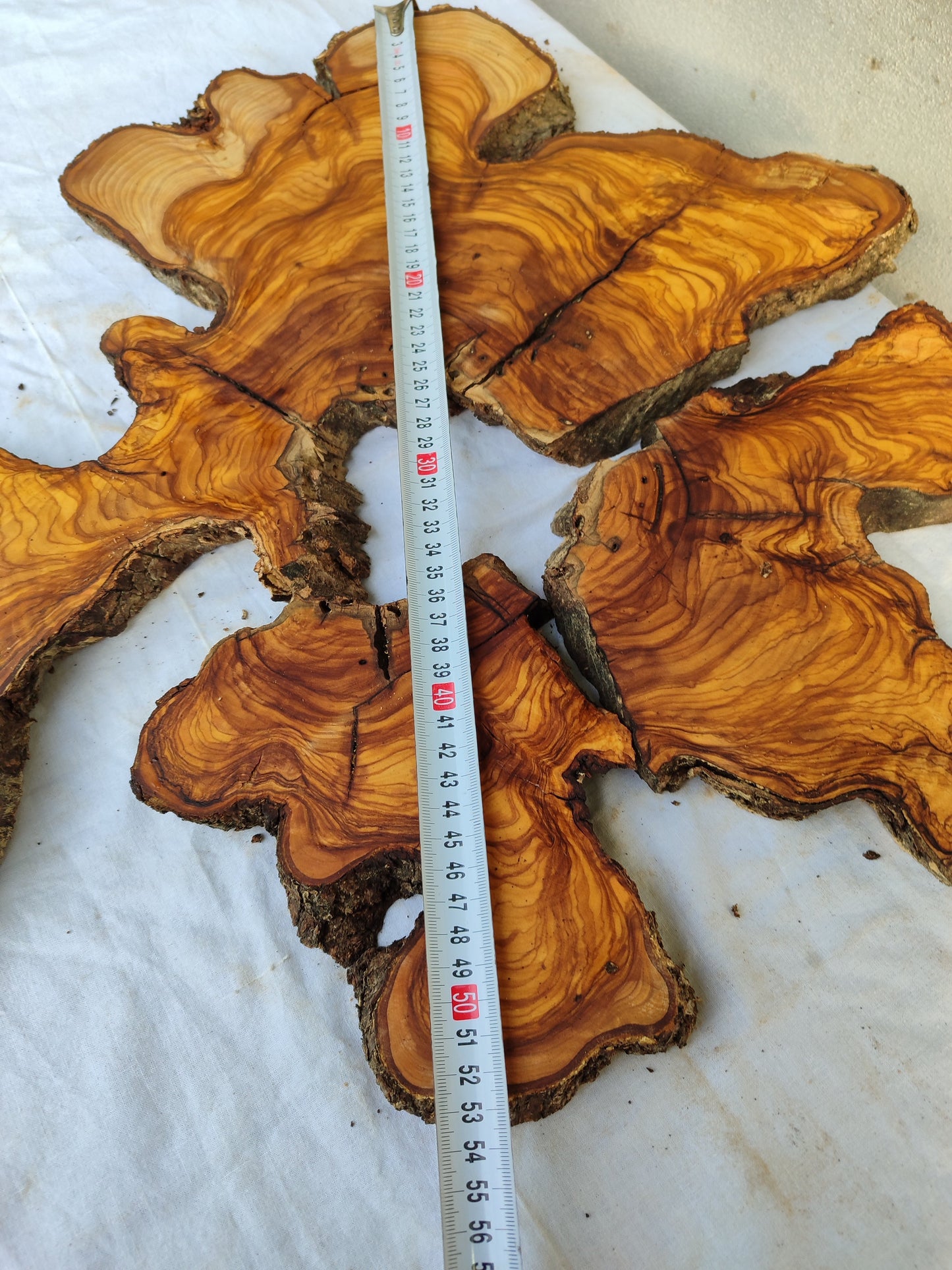 Rare Olive Wood Slab 53x55cm - Live Edge for Epoxy Resin & Coffee Table.