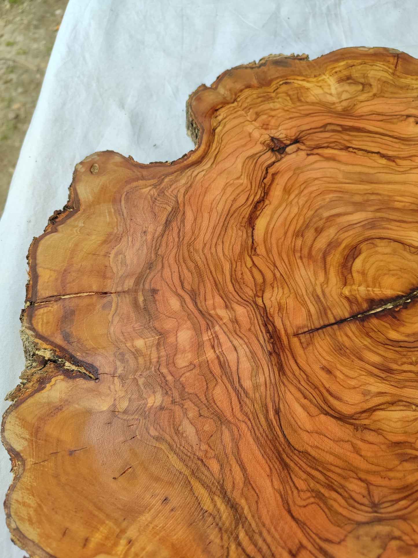 Rare Olive Wood Slab – Live Edge Unique Grain Sustainable Luxury – 40x42x2.5cm Premium Natural Luster - Olive Generic