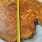 Rare Olive Wood Live Edge Slab – 40x44x2.5cm Unique Grain Sustainable Luxury - Olive Generic