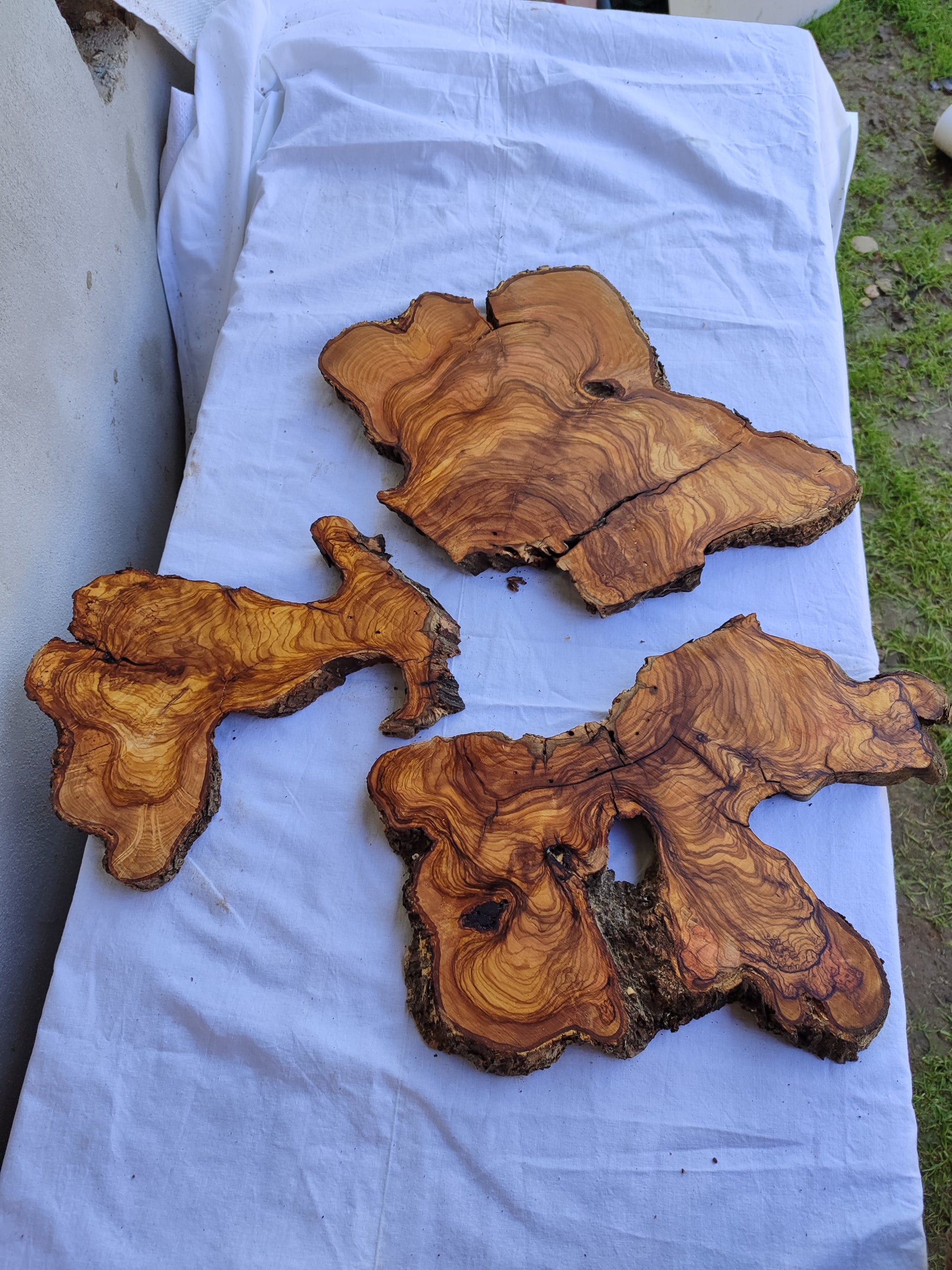 3pcs Rare Live Edge Olive Wood Slab 55x56cm | Super Dry 3% Moisture | Unique Grain for Epoxy Resin, Guitar Body & Luxury Art.