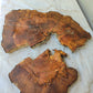 Rare Live Edge Olive Wood Slab – 37x43x2.5 cm, Natural Luster, Unique Grain, Sustainable Luxury for Epoxy & Art