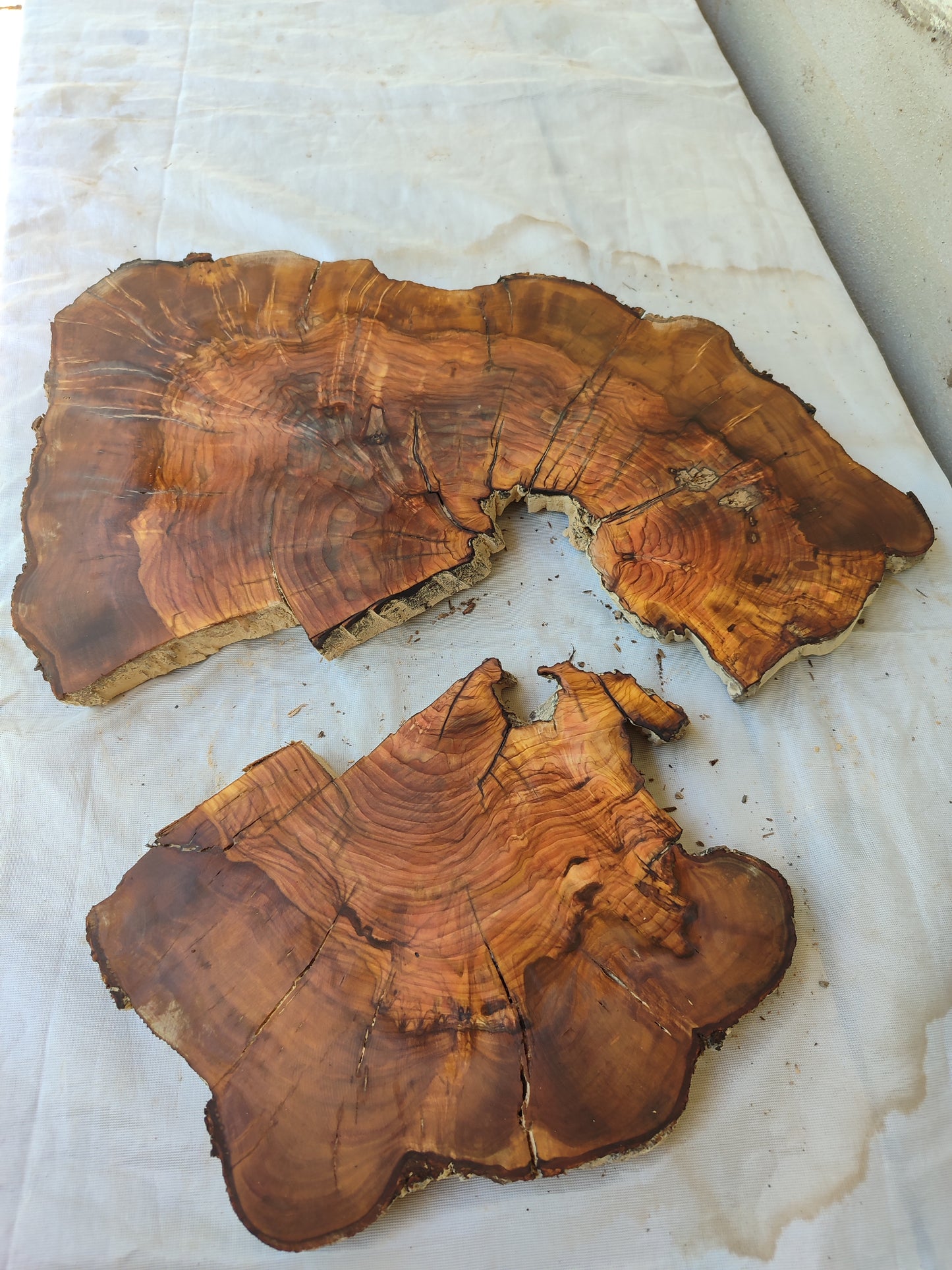 Rare Live Edge Olive Wood Slab – 37x43x2.5 cm, Natural Luster, Unique Grain, Sustainable Luxury for Epoxy & Art