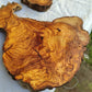 Rare Olive Wood Slab 53x55cm - Live Edge for Epoxy Resin & Coffee Table.
