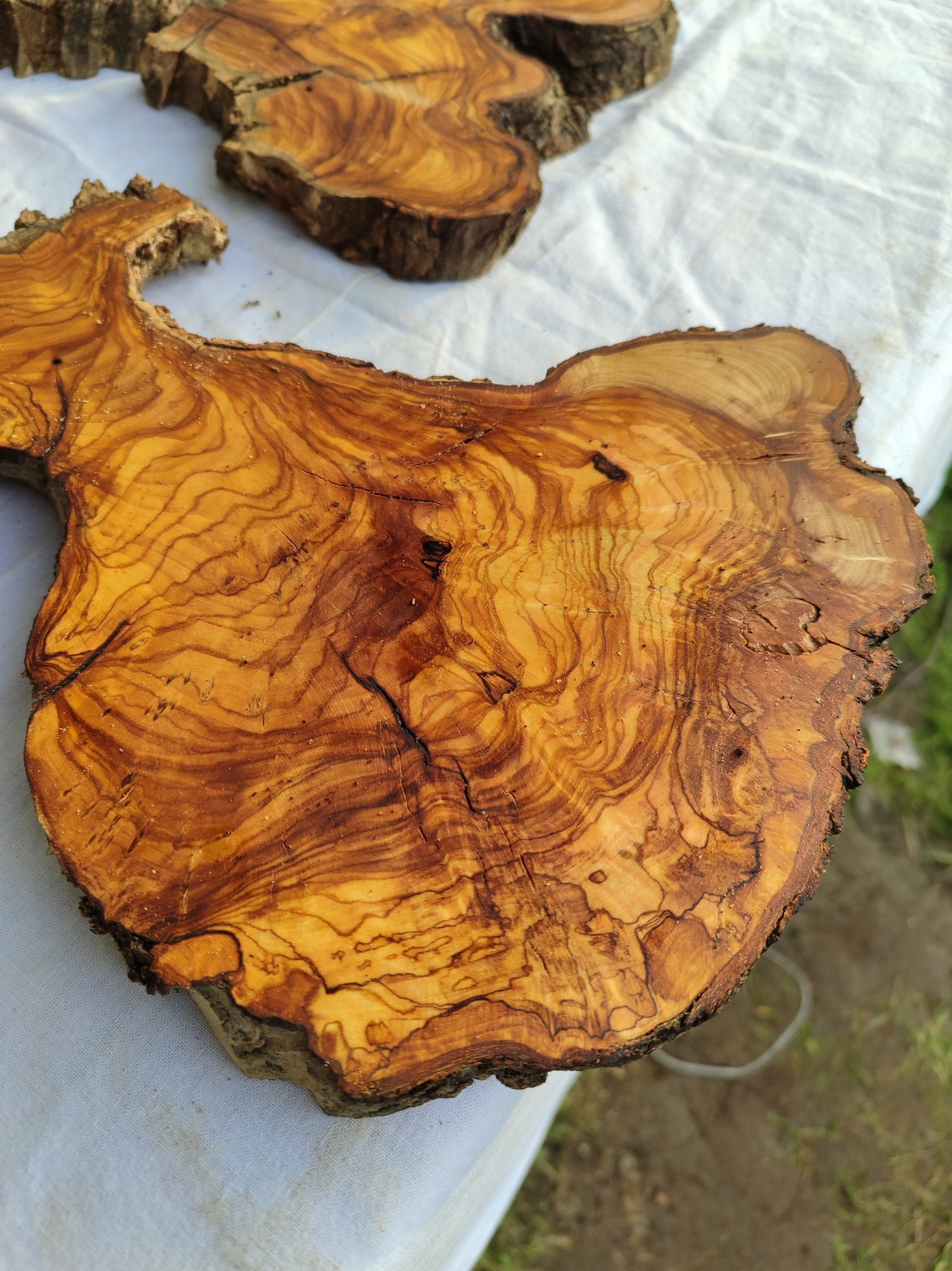 Rare Olive Wood Slab 53x55cm - Live Edge for Epoxy Resin & Coffee Table.