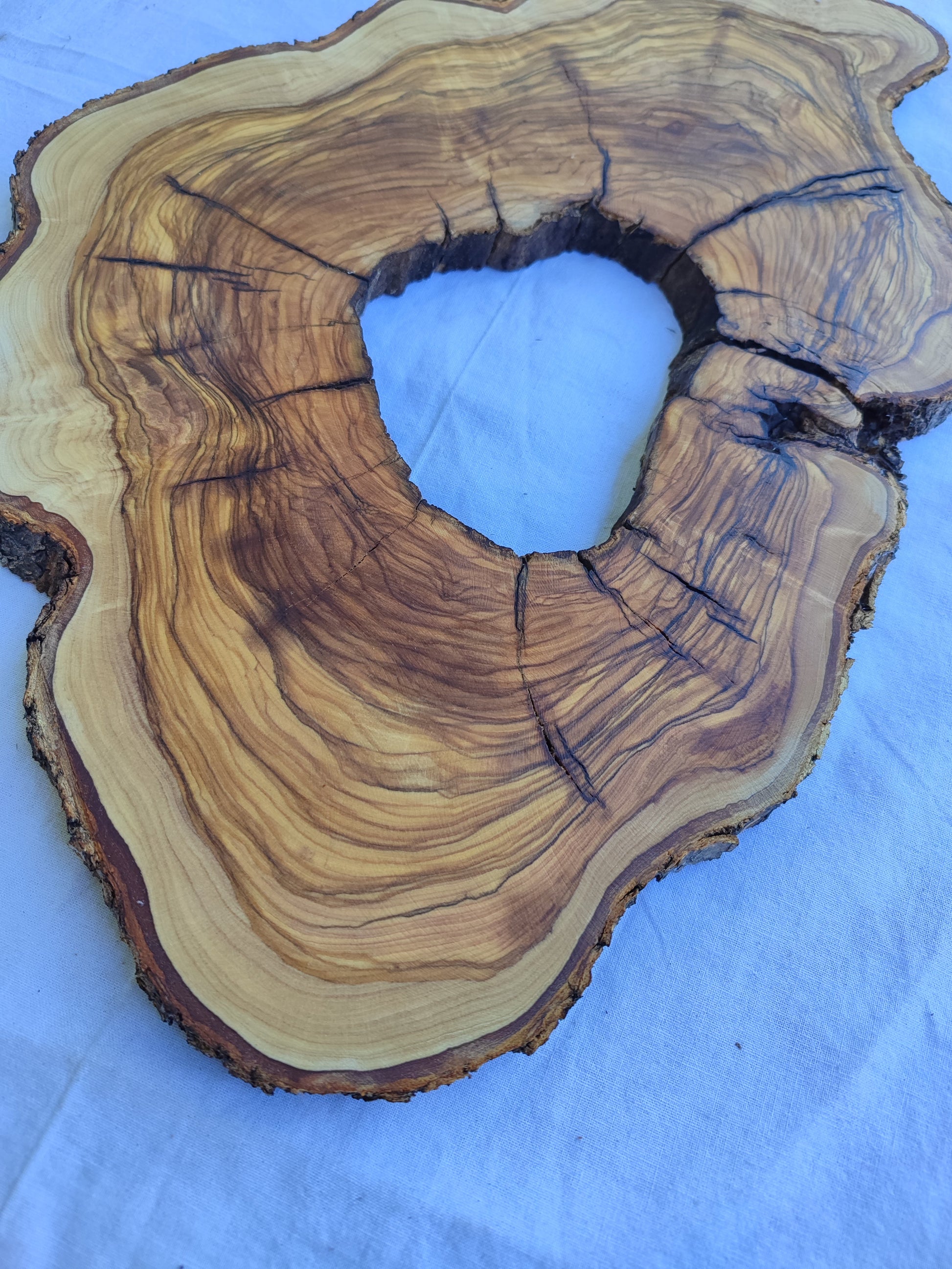 Rare Olive Wood Live Edge Slab 26x38cm | Ultra Dry 3% Moisture | Unique Grain for Epoxy Resin & Luthier Art