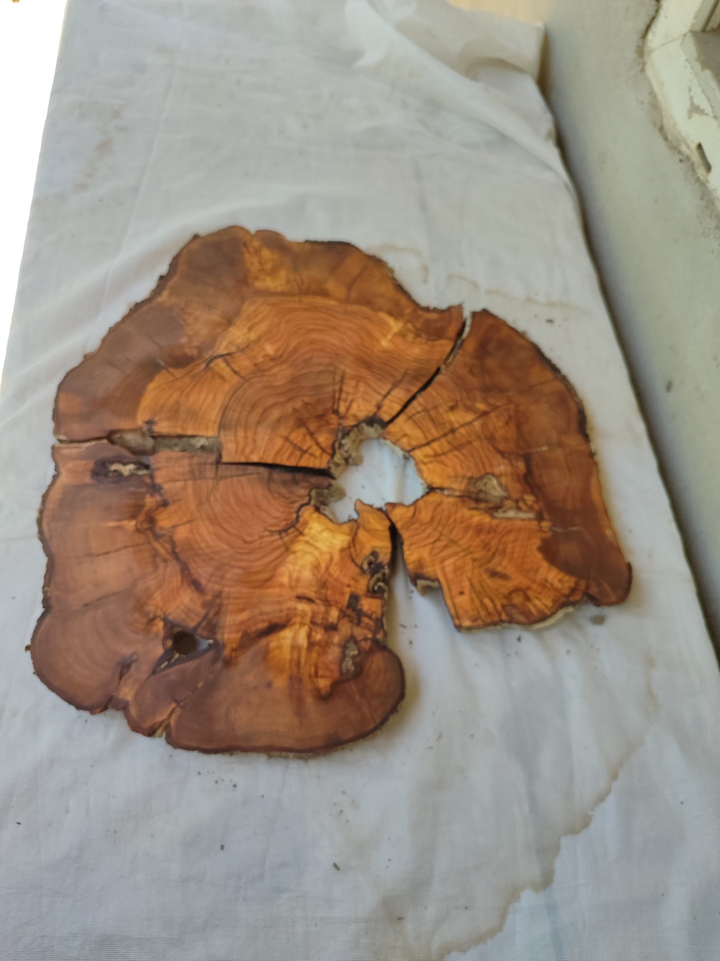 Rare Olive Wood Live Edge Slab – 37x40x2.5 cm, Unique Grain, Sustainable Luxury for Epoxy & Furniture