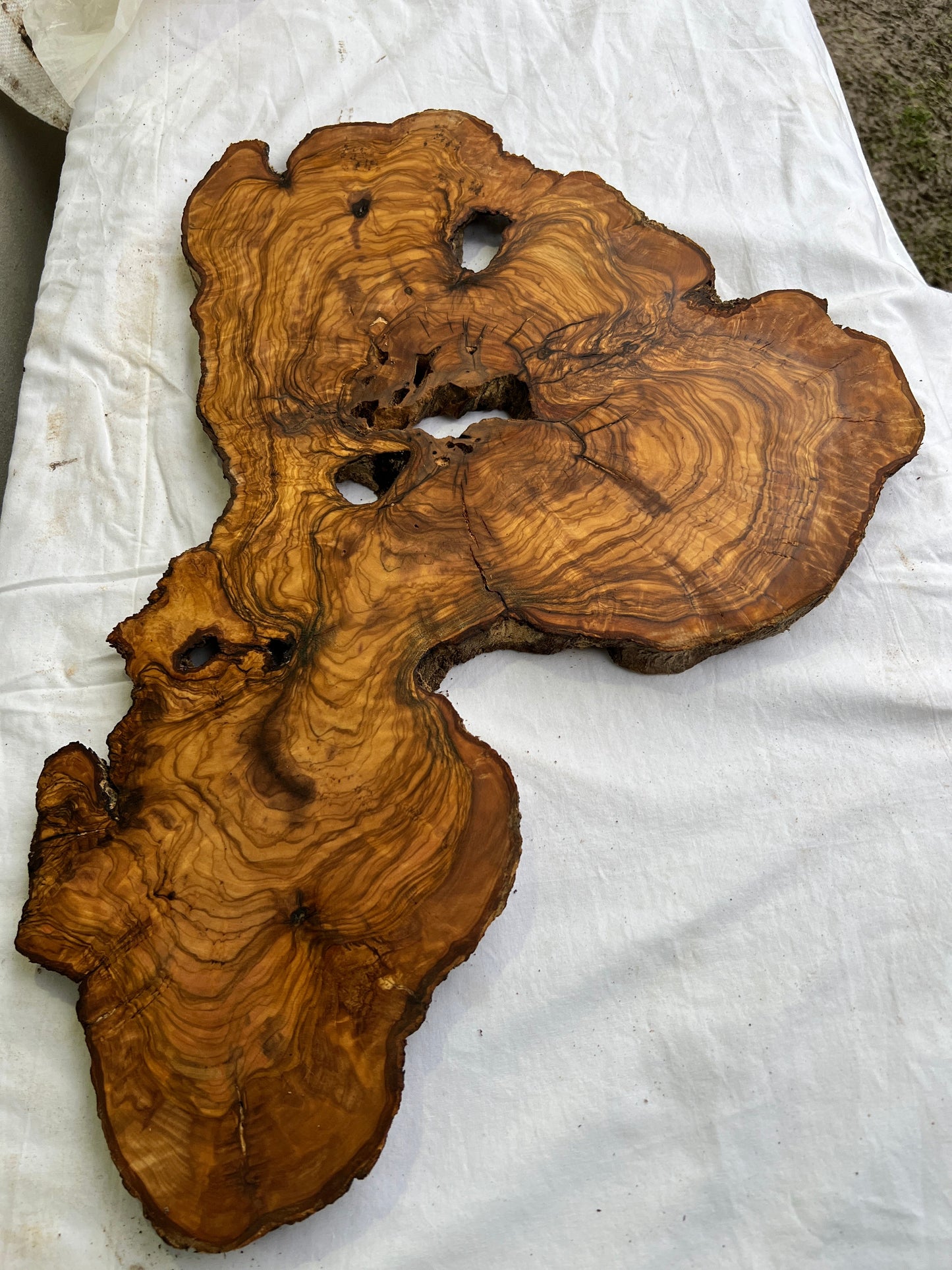 Rare Olive Wood Slab Live Edge 37x60cm | Unique Grain for Epoxy Resin & Coffee Table | Premium Luthier Wood | Sustainable Luxury Art.