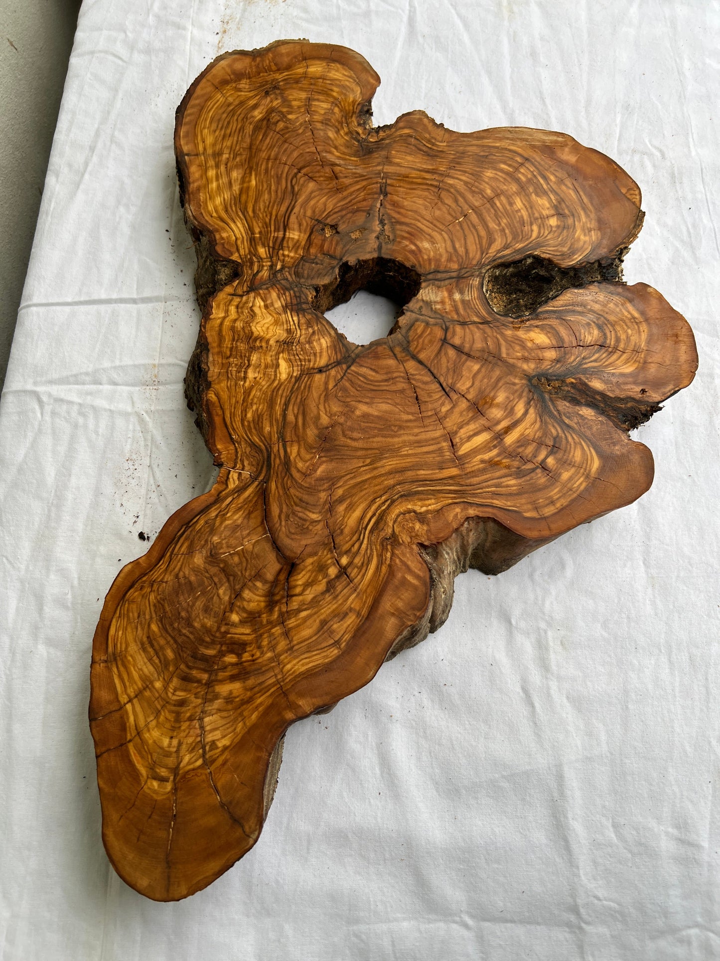 Rare Olive Wood Slab 28x52cm | Dry Live Edge Burl for Resin Art, Clock & Luthier | Unique Grain Sustainable Luxury Woodworking Material.