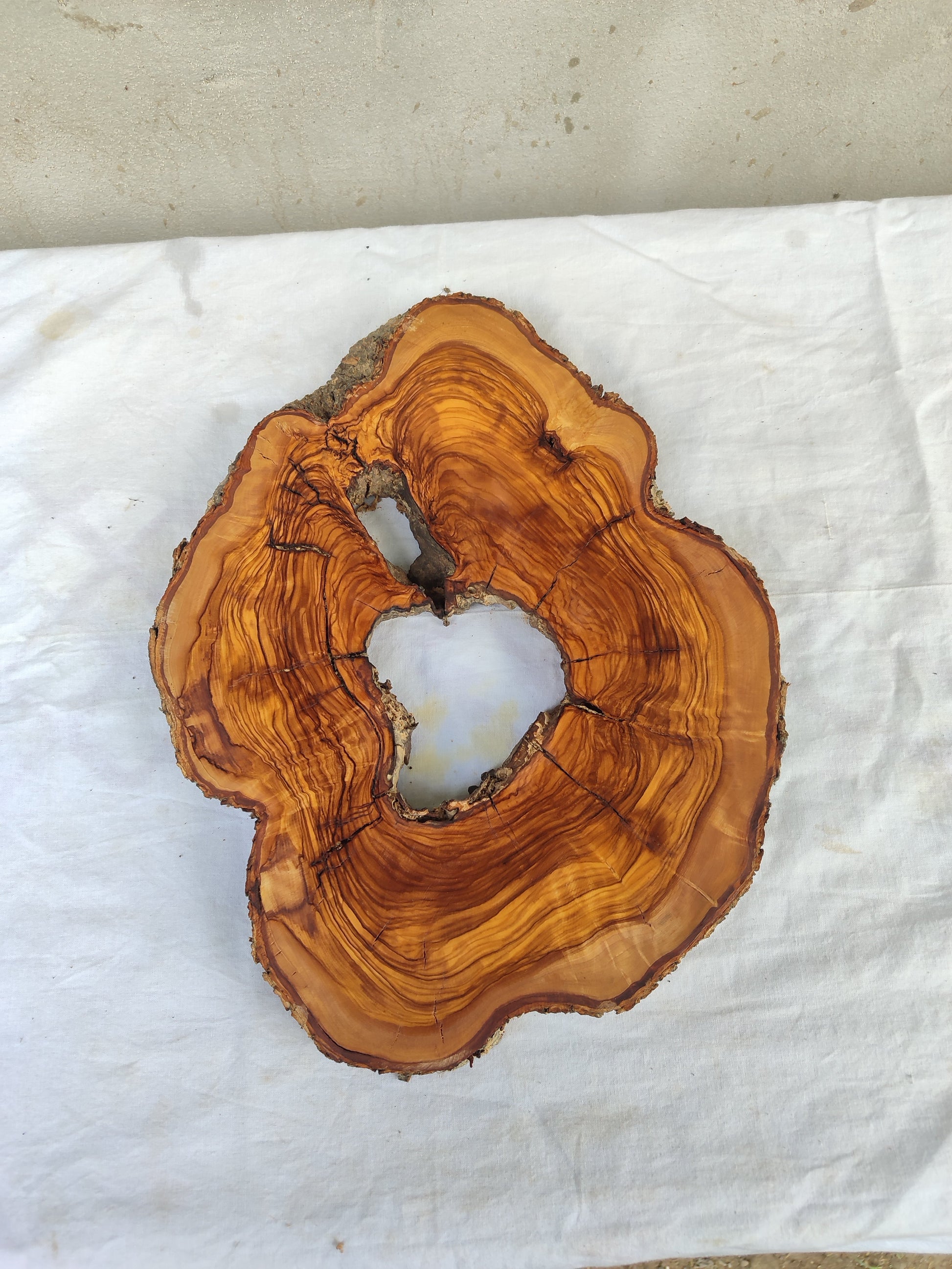 Rare Olive Wood Live Edge Slab – Premium Natural Luster – 28x36x3 cm – Sustainable Luxury - Olive Generic