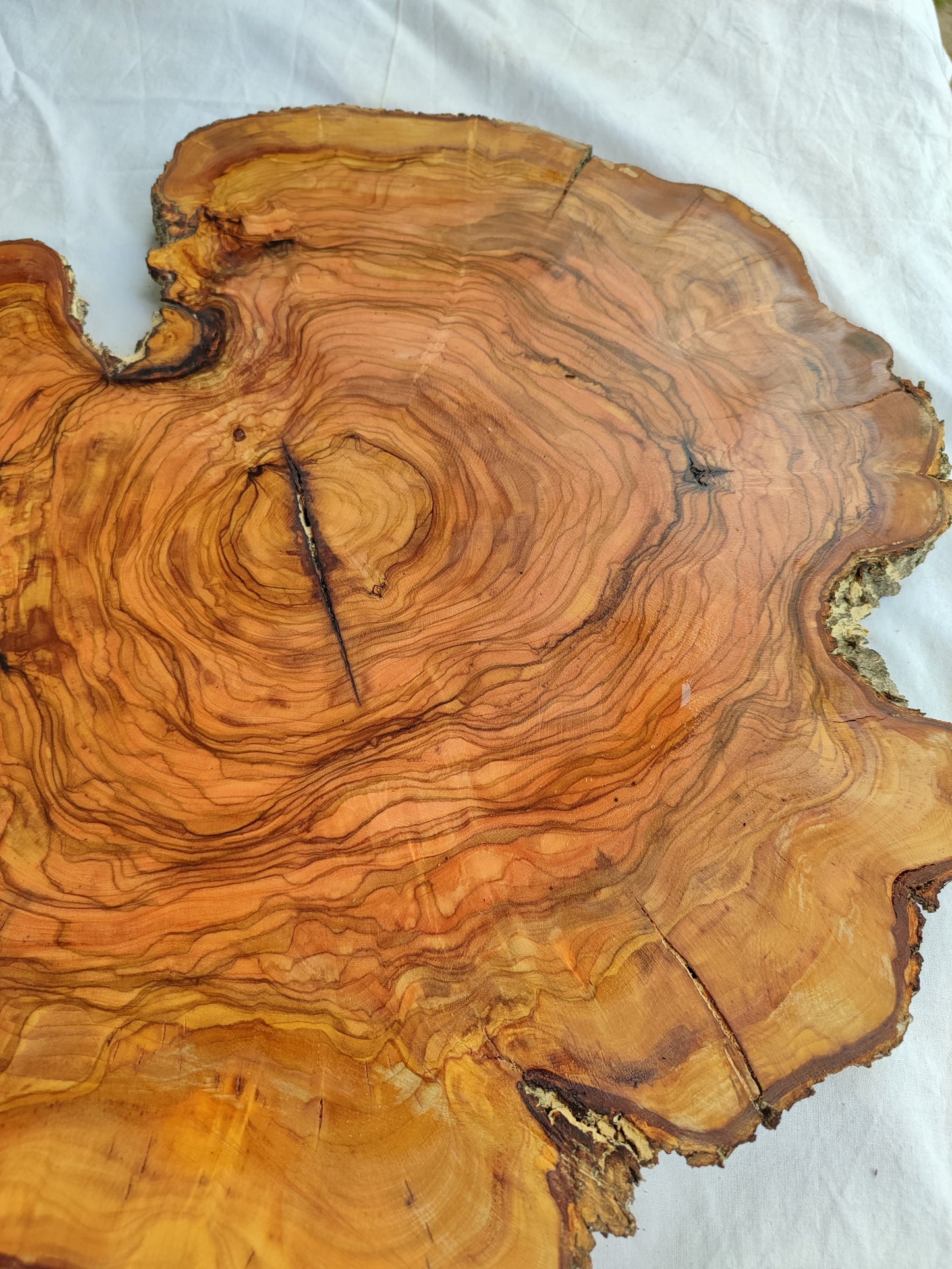 Rare Olive Wood Slab – Live Edge Unique Grain Sustainable Luxury – 39x43x2.5cm Premium Natural Luster Epoxy Friendly