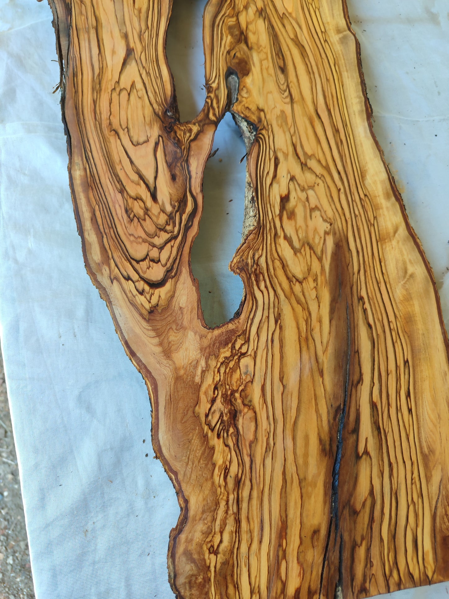 Rare Live Edge Olive Wood Slab – Unique Grain, Sustainable Luxury for Epoxy, Table & Crafts