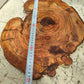 Rare Olive Wood Live Edge Slab – 31x40cm Premium Sustainable Luxury, Unique Grain, Natural Luster, Epoxy Friendly
