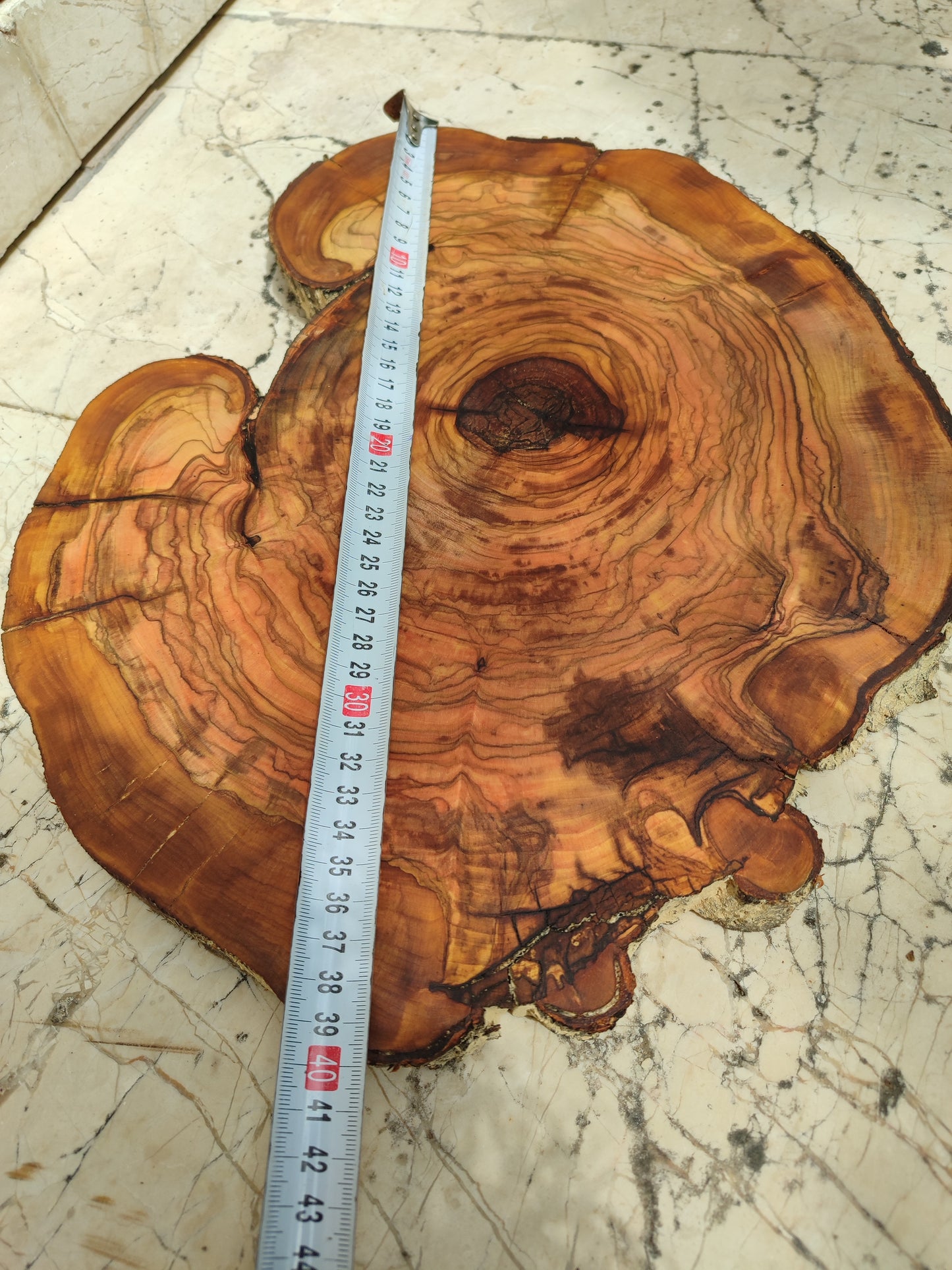 Rare Olive Wood Live Edge Slab – 31x40cm Premium Sustainable Luxury, Unique Grain, Natural Luster, Epoxy Friendly
