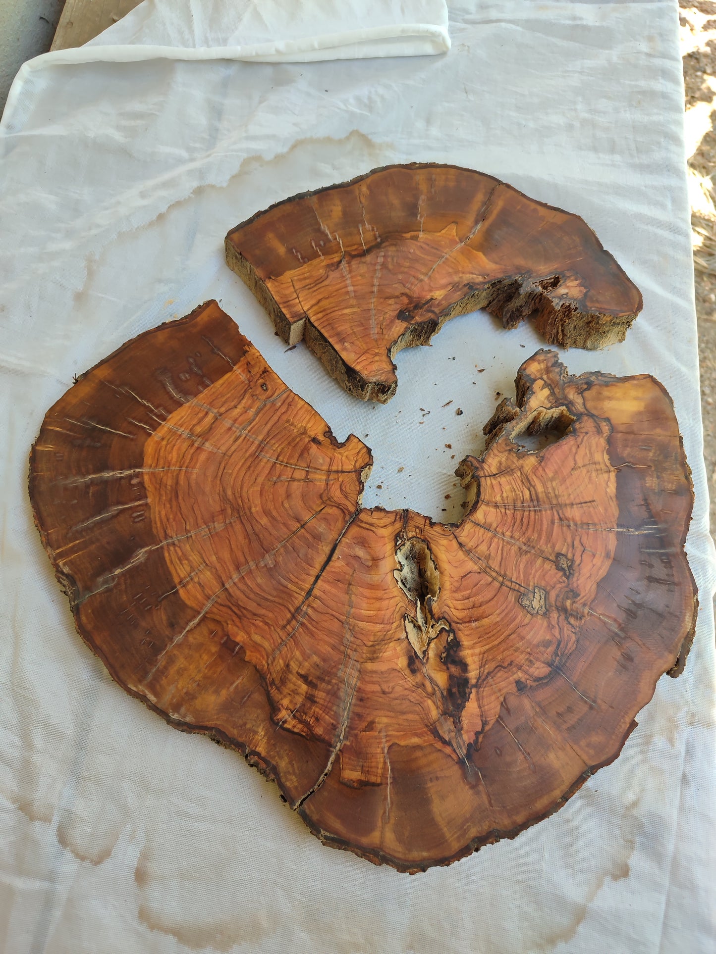Rare Olive Wood Live Edge Slab – Unique Grain, Premium Natural Luster, 36x38x2.5 cm – Sustainable Luxury for Epoxy & Artisan Crafts