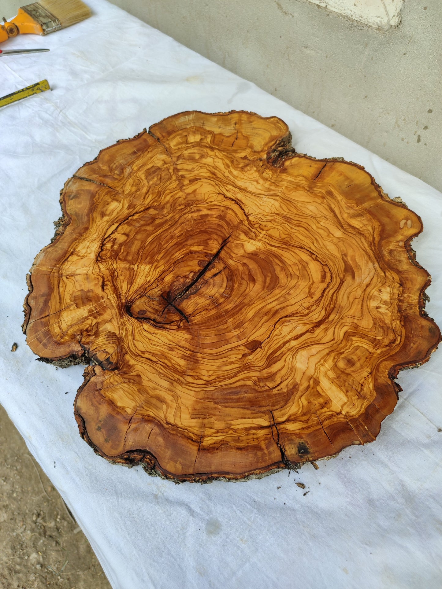 Rare Olive Wood Live Edge Slab – 40x44x3 cm Unique Grain Sustainable Luxury for Epoxy Table Clock & Crafts - Olive