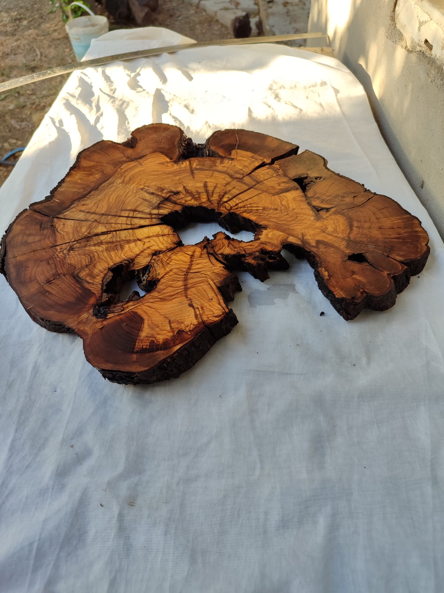Rare Olive Wood Slab – Live Edge, Unique Grain, Sustainable Luxury – 41x43x2.5 cm