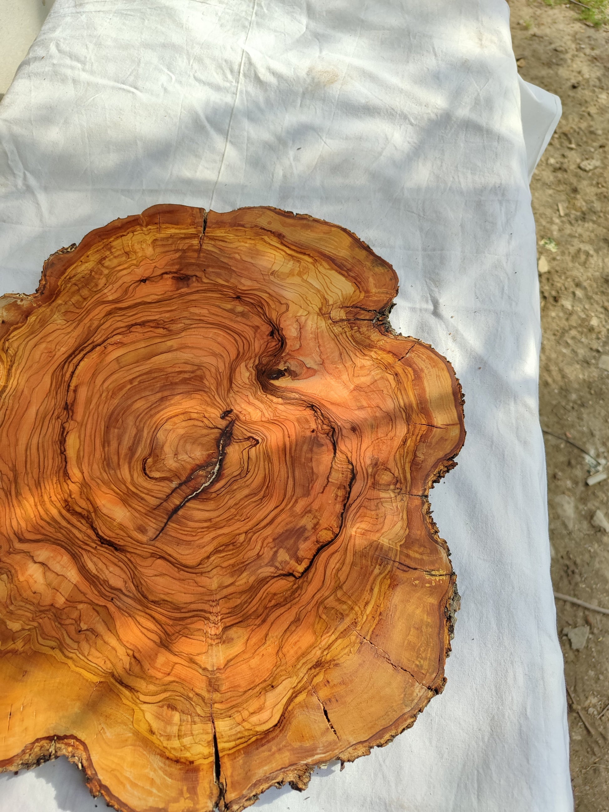 Rare Olive Wood Slab – Live Edge Unique Grain Sustainable Luxury for Epoxy Table & Craft - Olive Generic