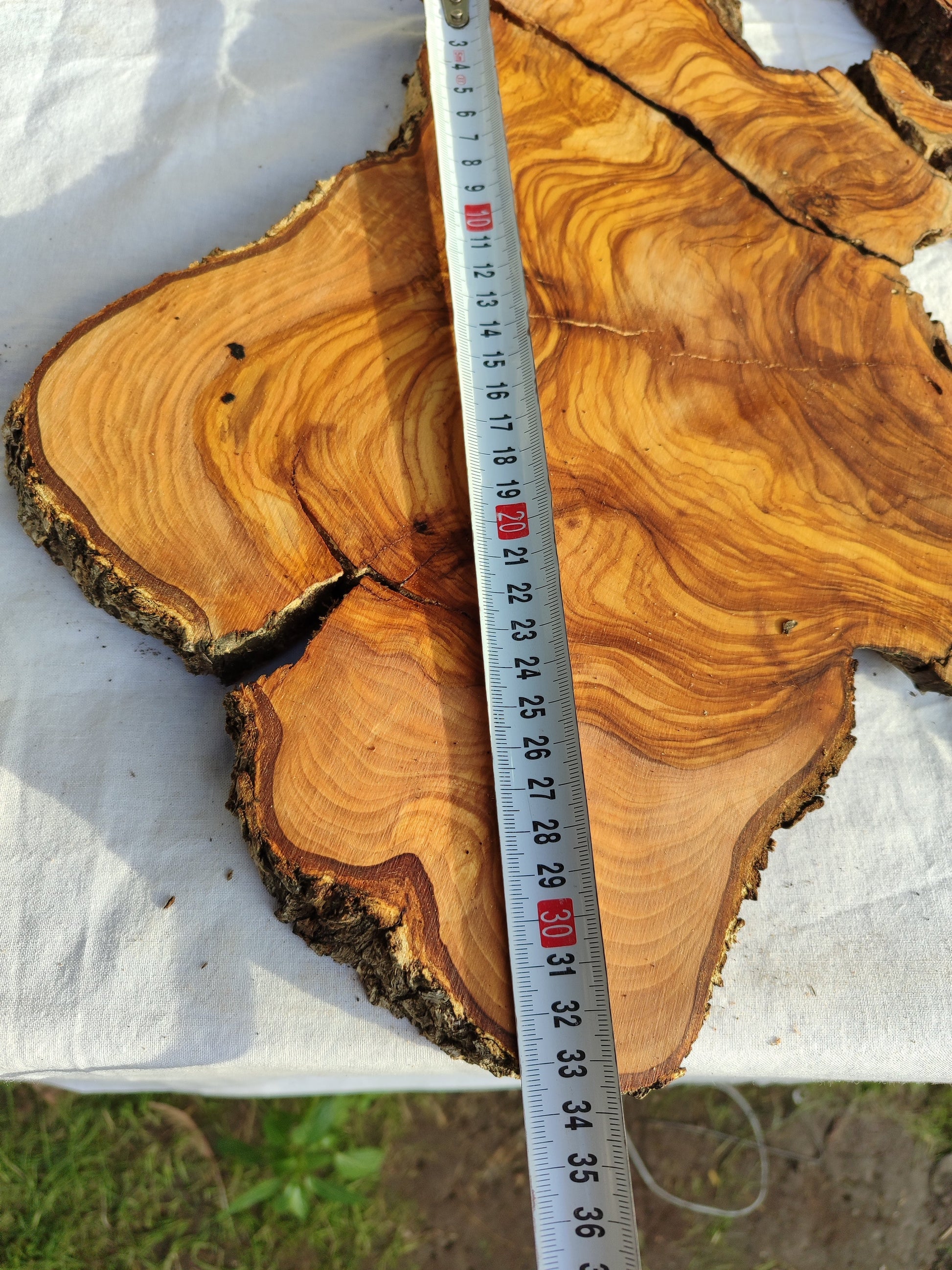 Rare Olive Wood Slab 23"x23" | Live Edge Epoxy Table Top | Premium Luthier Wood | Dry Exotic Lumber | Unique Grain DIY Art 58x59cm.
