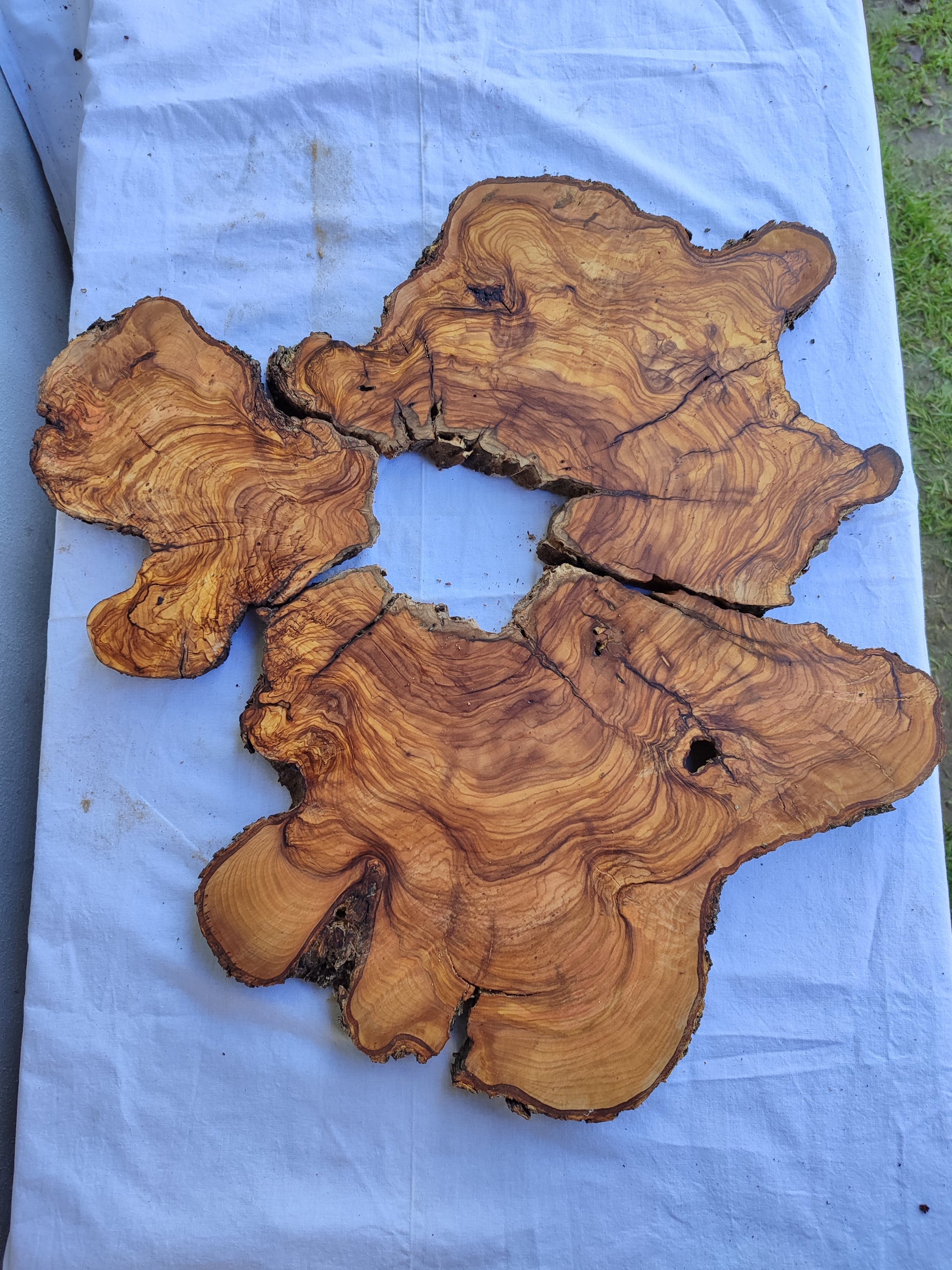 Rare Olive Wood Slab 51x53cm | Premium Live Edge for Epoxy Resin, Clock, Guitar Body | Ultra Dry Sustainable Luxury DIY Lumber.