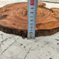 Rare Live Edge Olive Wood Slab – 33x40cm, Unique Grain, Natural Luster, Sustainable Luxury for Epoxy & Crafts