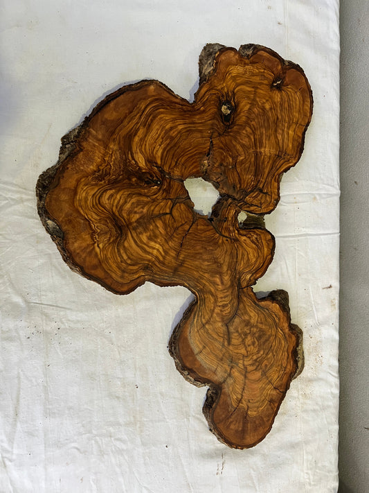 Rare Olive Wood Slab 31x55cm for Epoxy Resin & Guitar Body | Live Edge Sustainable Luxury | Unique Grain Luthier Wood | Super Dry DIY Art.