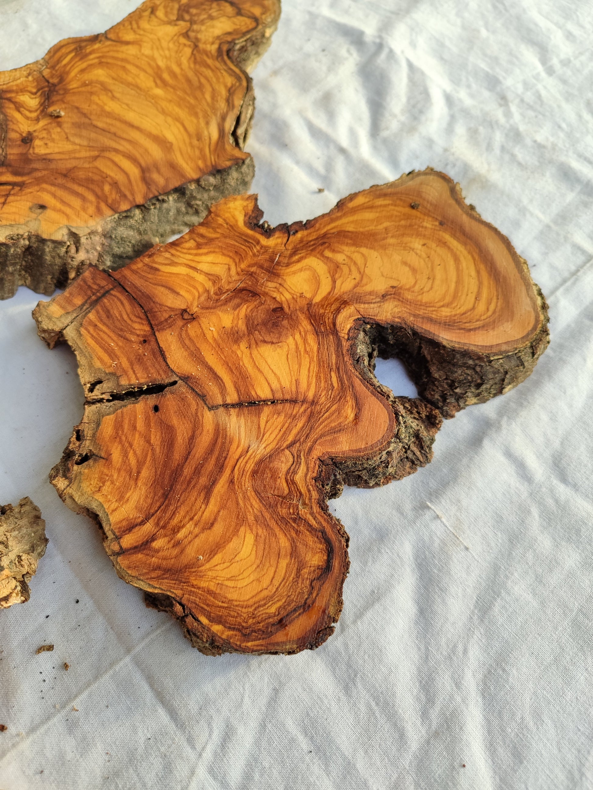 Rare Olive Wood Slab 53x55cm - Live Edge for Epoxy Resin & Coffee Table.