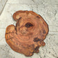 Rare Olive Wood Live Edge Slab – 31x40cm Premium Sustainable Luxury, Unique Grain, Natural Luster, Epoxy Friendly