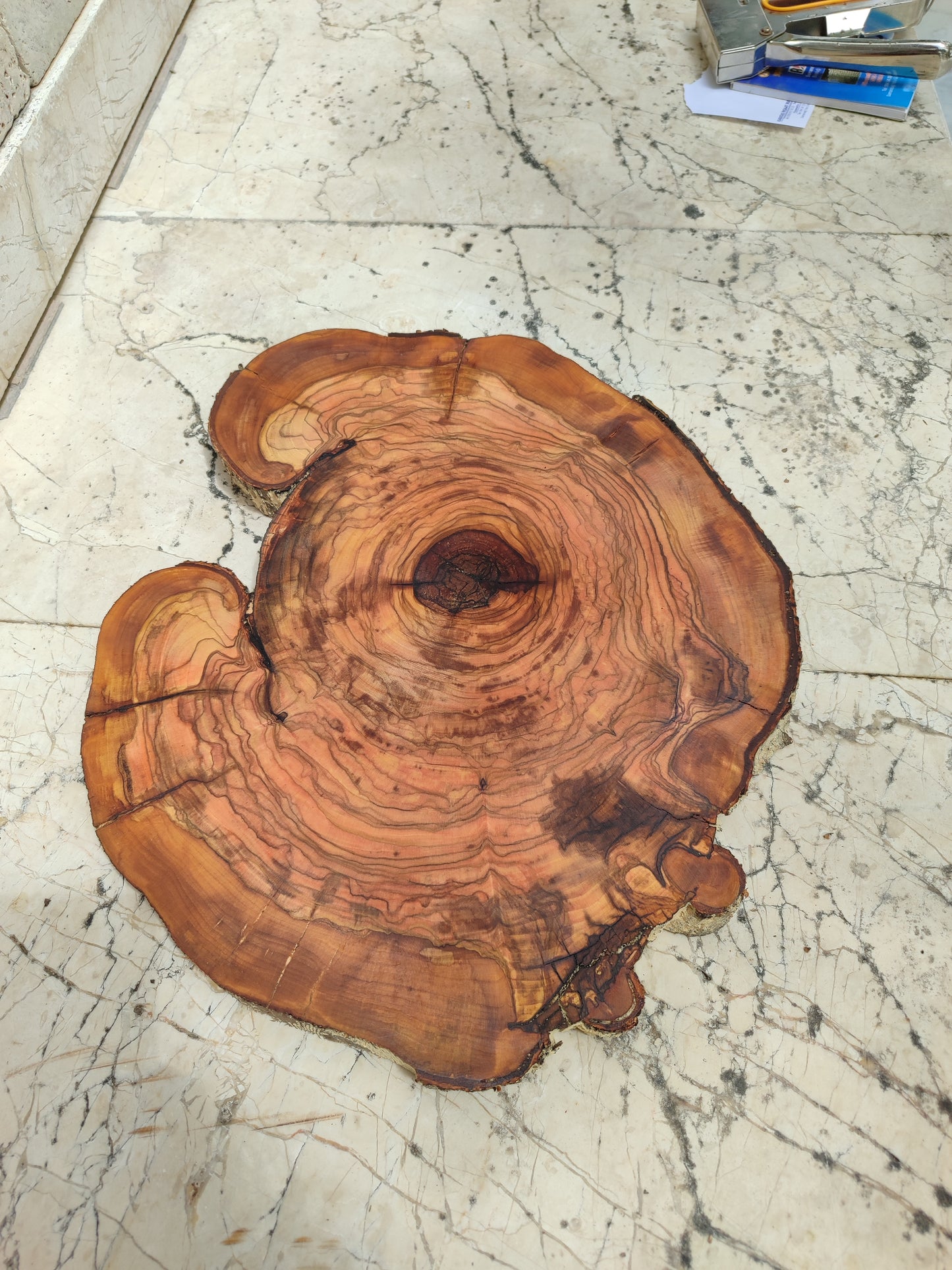 Rare Olive Wood Live Edge Slab – 31x40cm Premium Sustainable Luxury, Unique Grain, Natural Luster, Epoxy Friendly