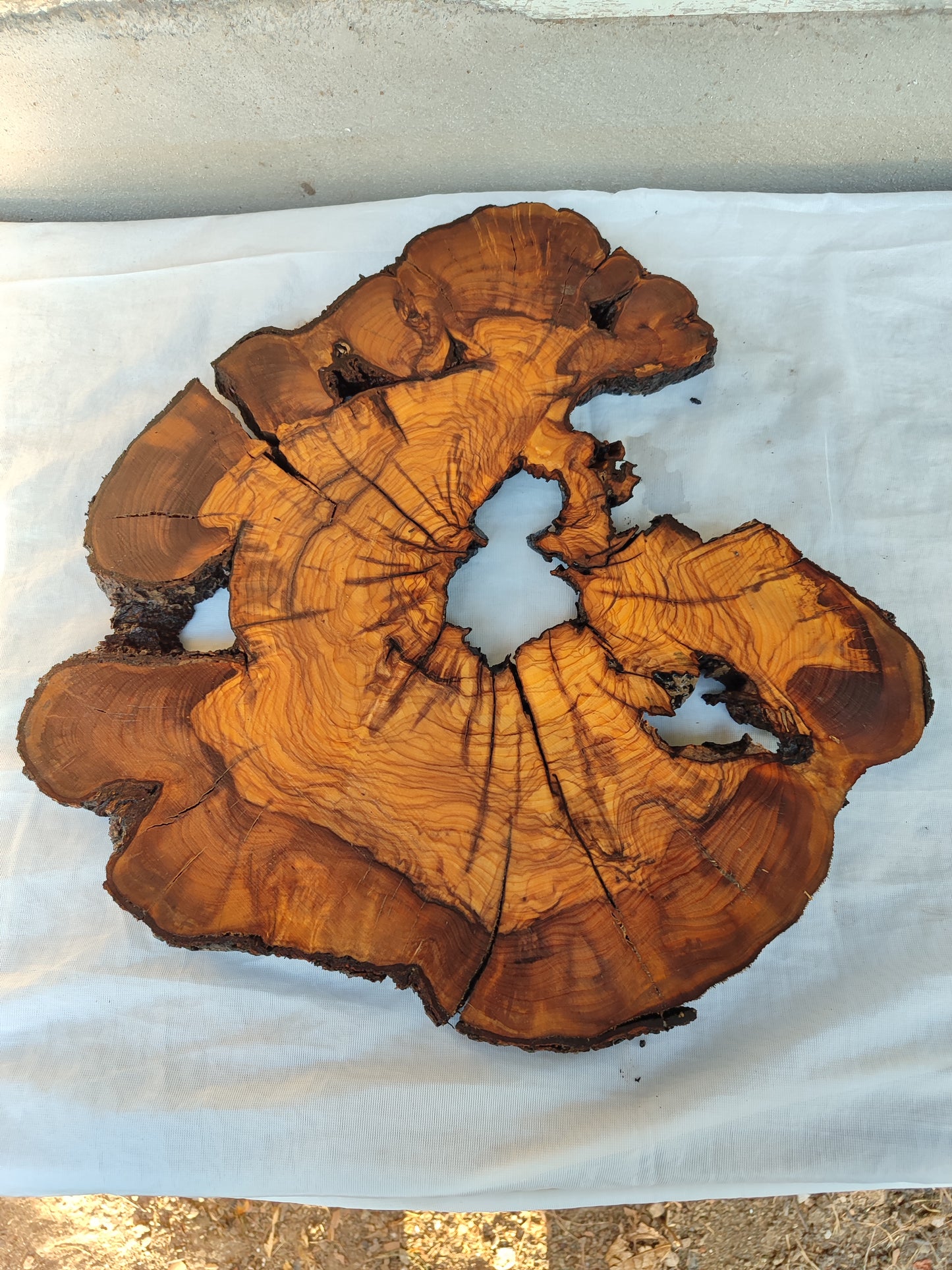 Rare Olive Wood Slab – Live Edge, Unique Grain, Sustainable Luxury – 41x43x2.5 cm