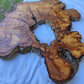 Rare Huge Live Edge Olive Wood Burl Slab 48x52cm - Premium Dry Exotic Lumber for Epoxy Resin Art, Guitar Body & Luxury Coffee Table DIY.