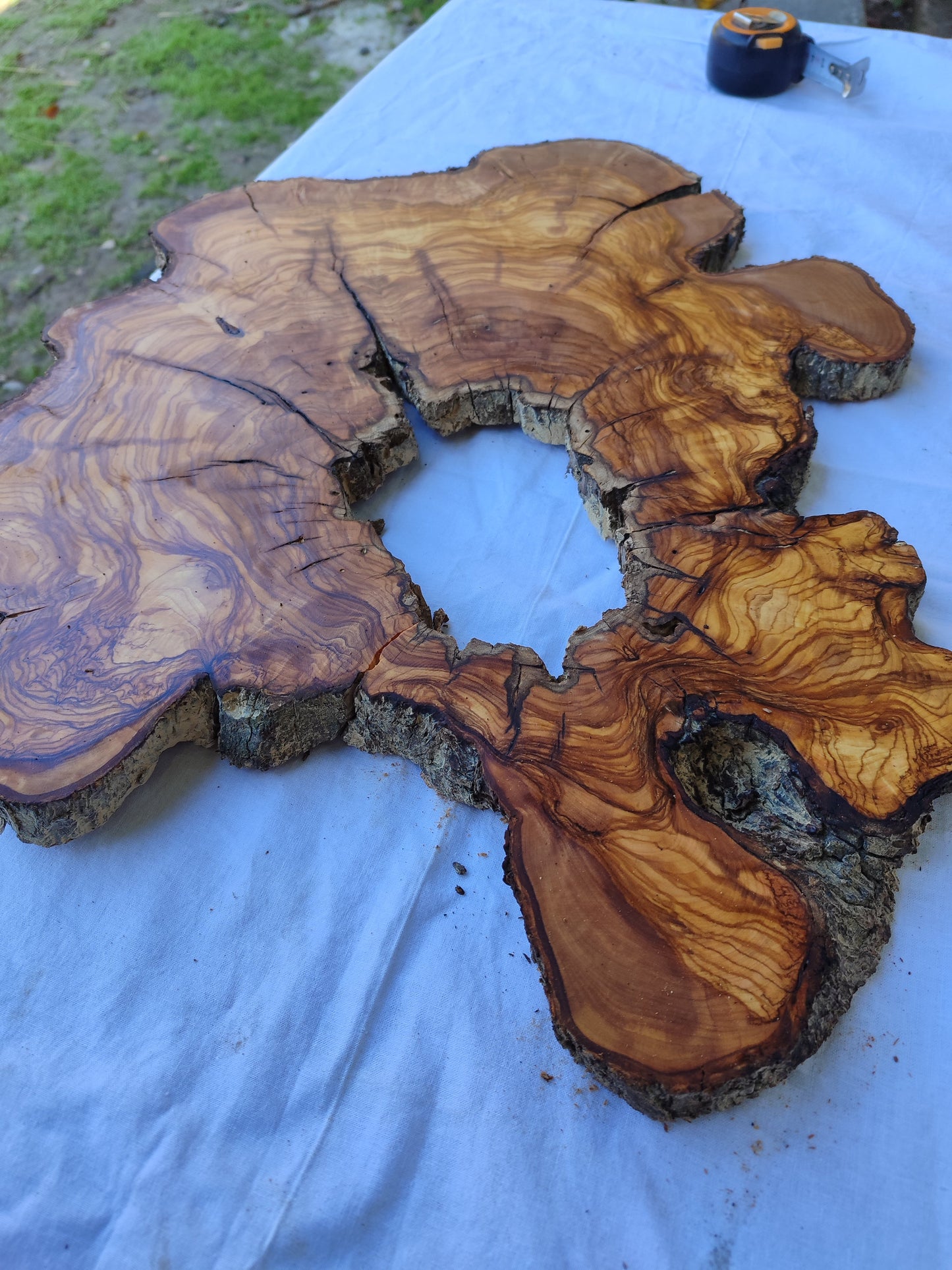 Rare Huge Live Edge Olive Wood Burl Slab 48x52cm - Premium Dry Exotic Lumber for Epoxy Resin Art, Guitar Body & Luxury Coffee Table DIY.