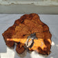 Thick Olive Wood Slab Live Edge 43x44x6cm Epoxy Statement