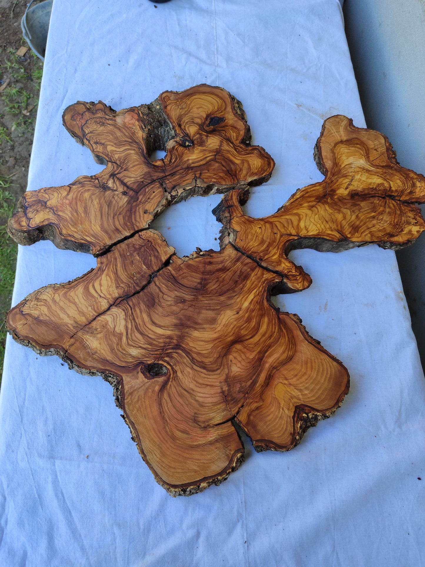 3pcs Rare Live Edge Olive Wood Slab 55x56cm | Super Dry 3% Moisture | Unique Grain for Epoxy Resin, Guitar Body & Luxury Art.