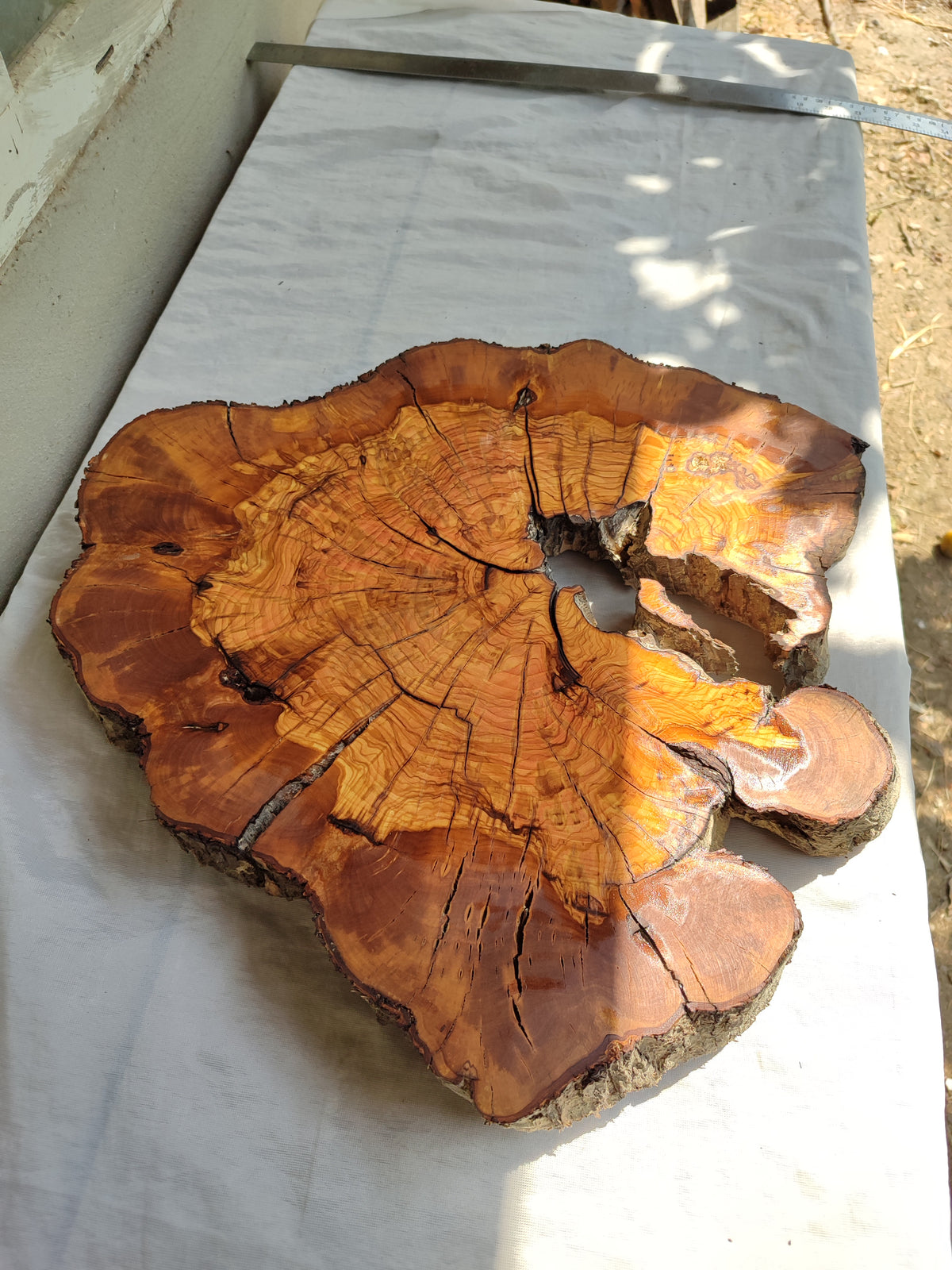 Thick Olive Wood Slab Live Edge 43x44x6cm Epoxy Statement
