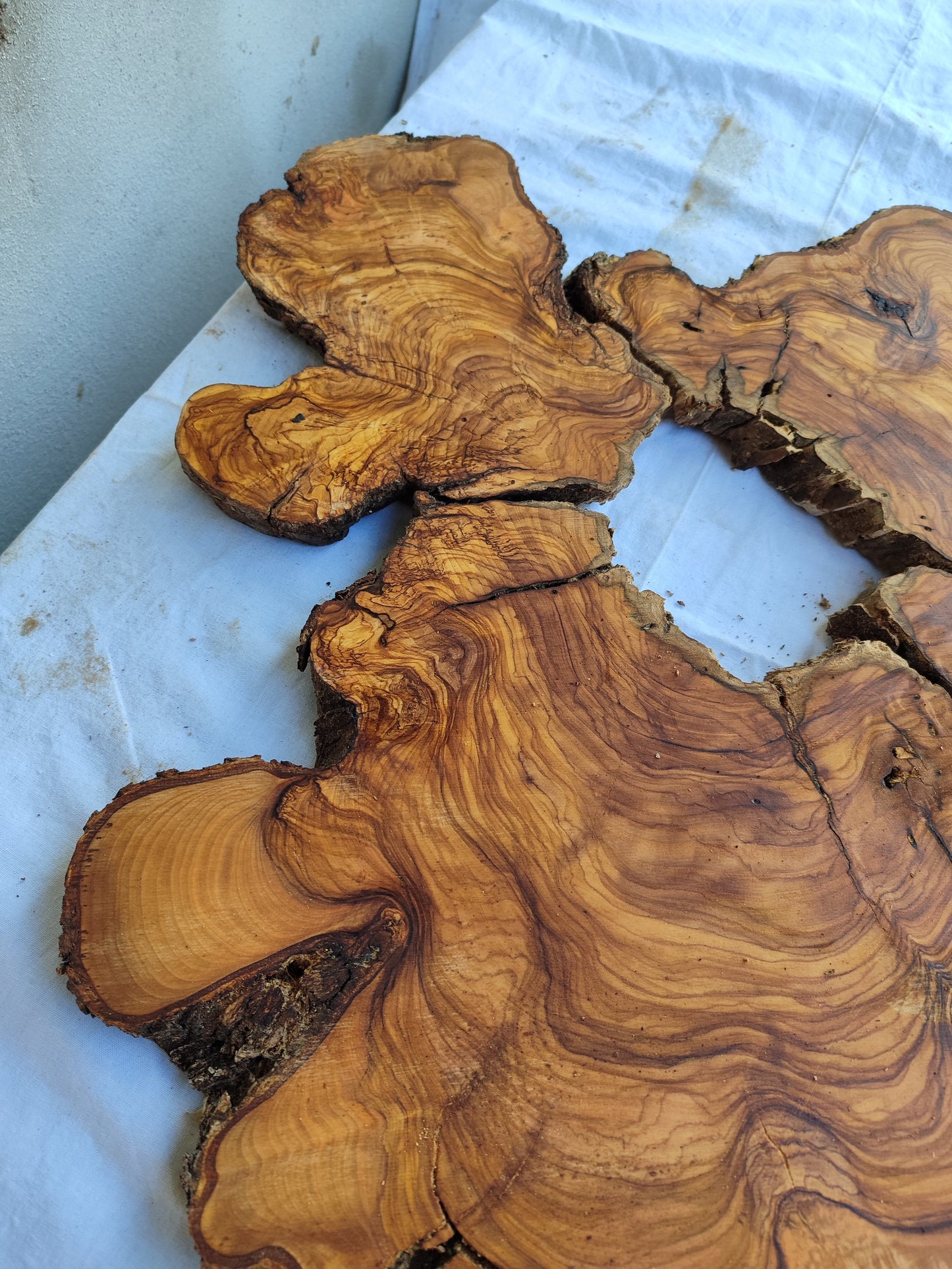 Rare Olive Wood Slab 51x53cm | Premium Live Edge for Epoxy Resin, Clock, Guitar Body | Ultra Dry Sustainable Luxury DIY Lumber.