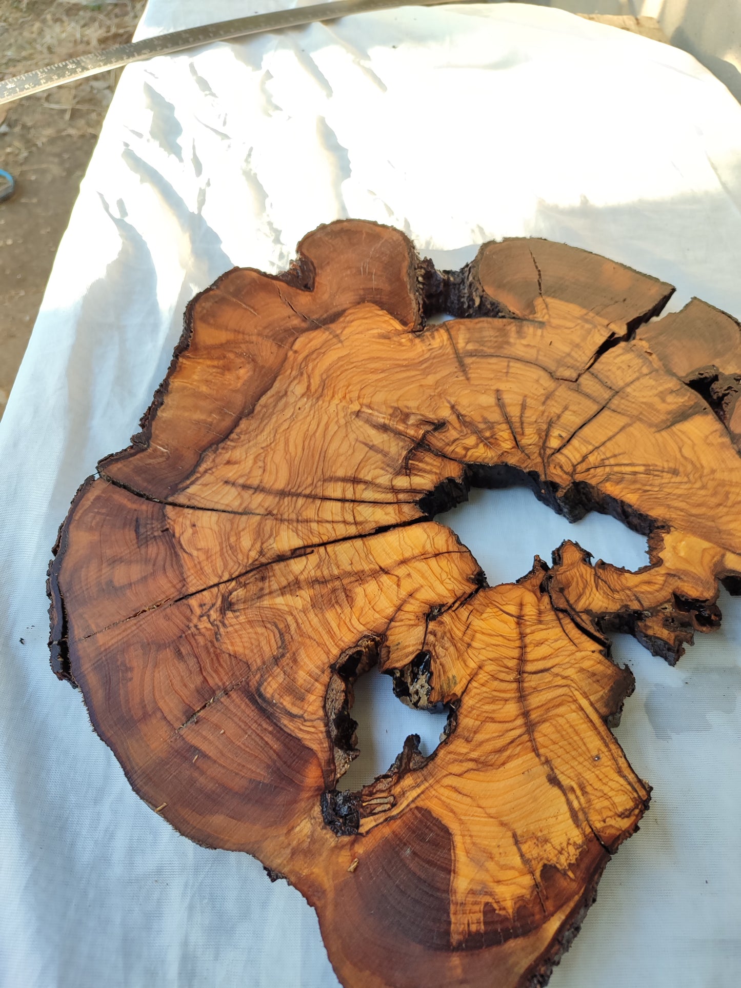 Rare Olive Wood Slab – Live Edge, Unique Grain, Sustainable Luxury – 41x43x2.5 cm