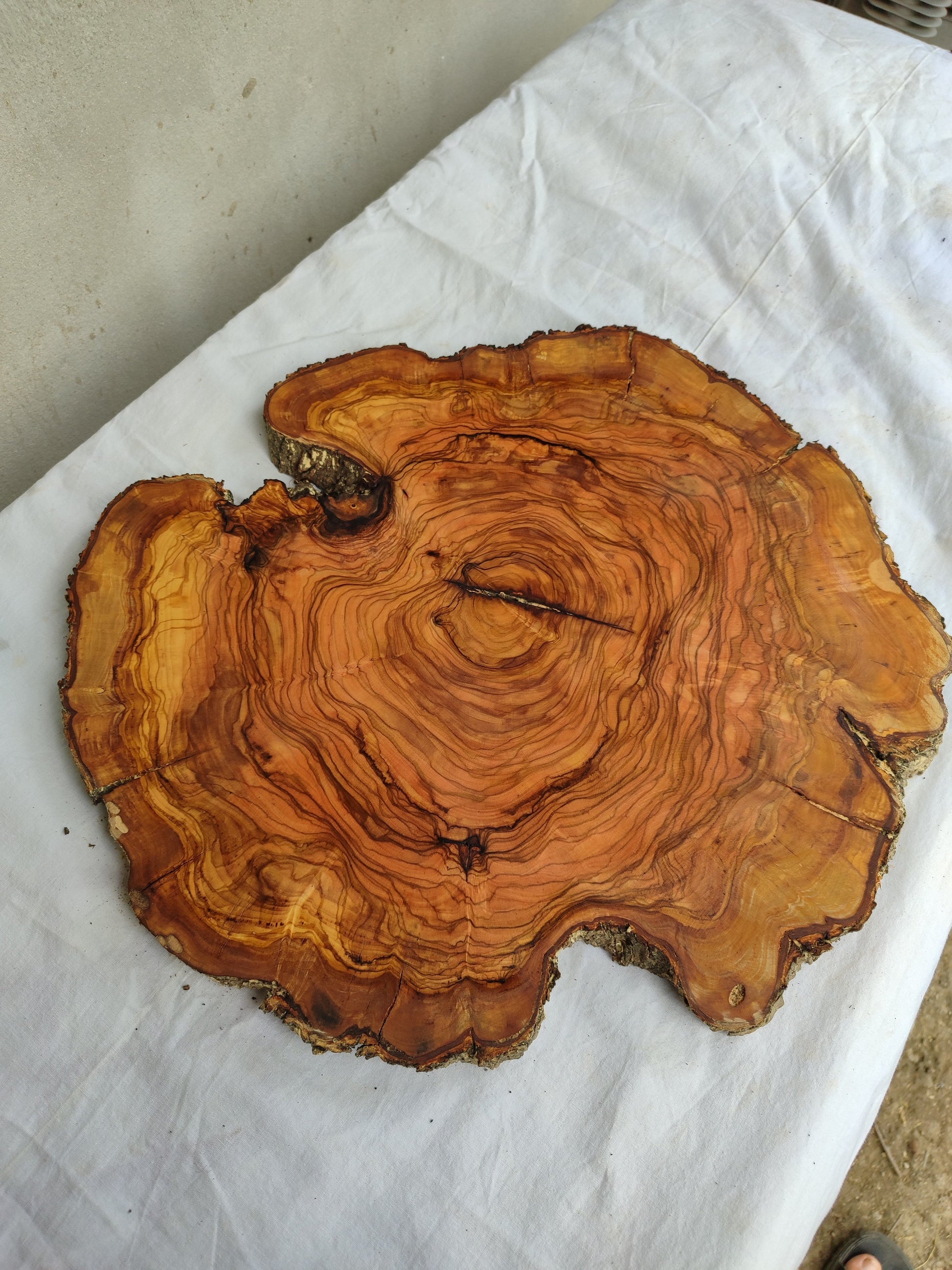 Rare Olive Wood Slab – Live Edge Unique Grain Sustainable Luxury – 40x42x2.5cm Premium Natural Luster - Olive Generic