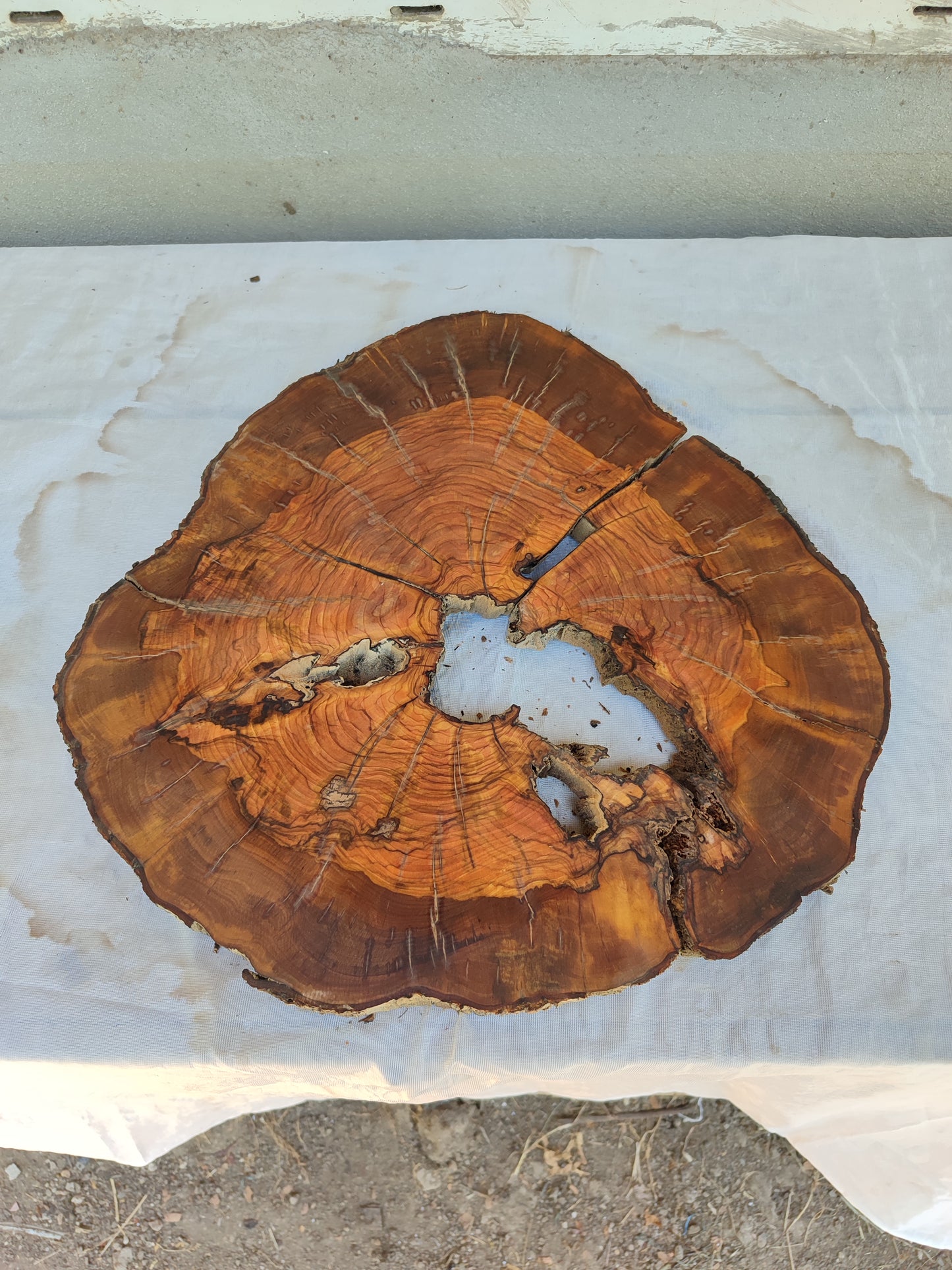 Rare Olive Wood Live Edge Slab – Unique Grain, Premium Natural Luster, 36x38x2.5 cm – Sustainable Luxury for Epoxy & Artisan Crafts